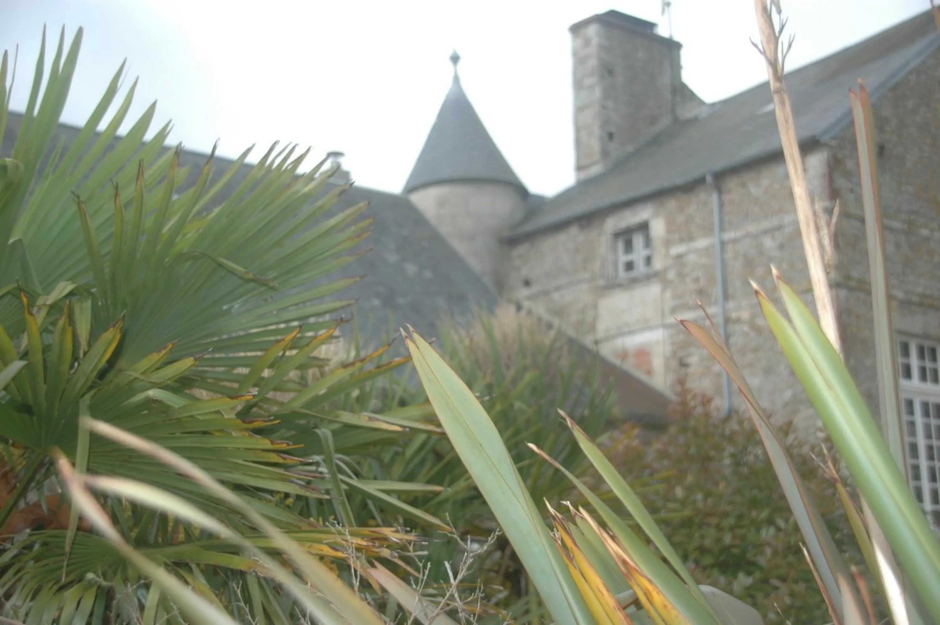 Garden view in Le Chateau de Claids