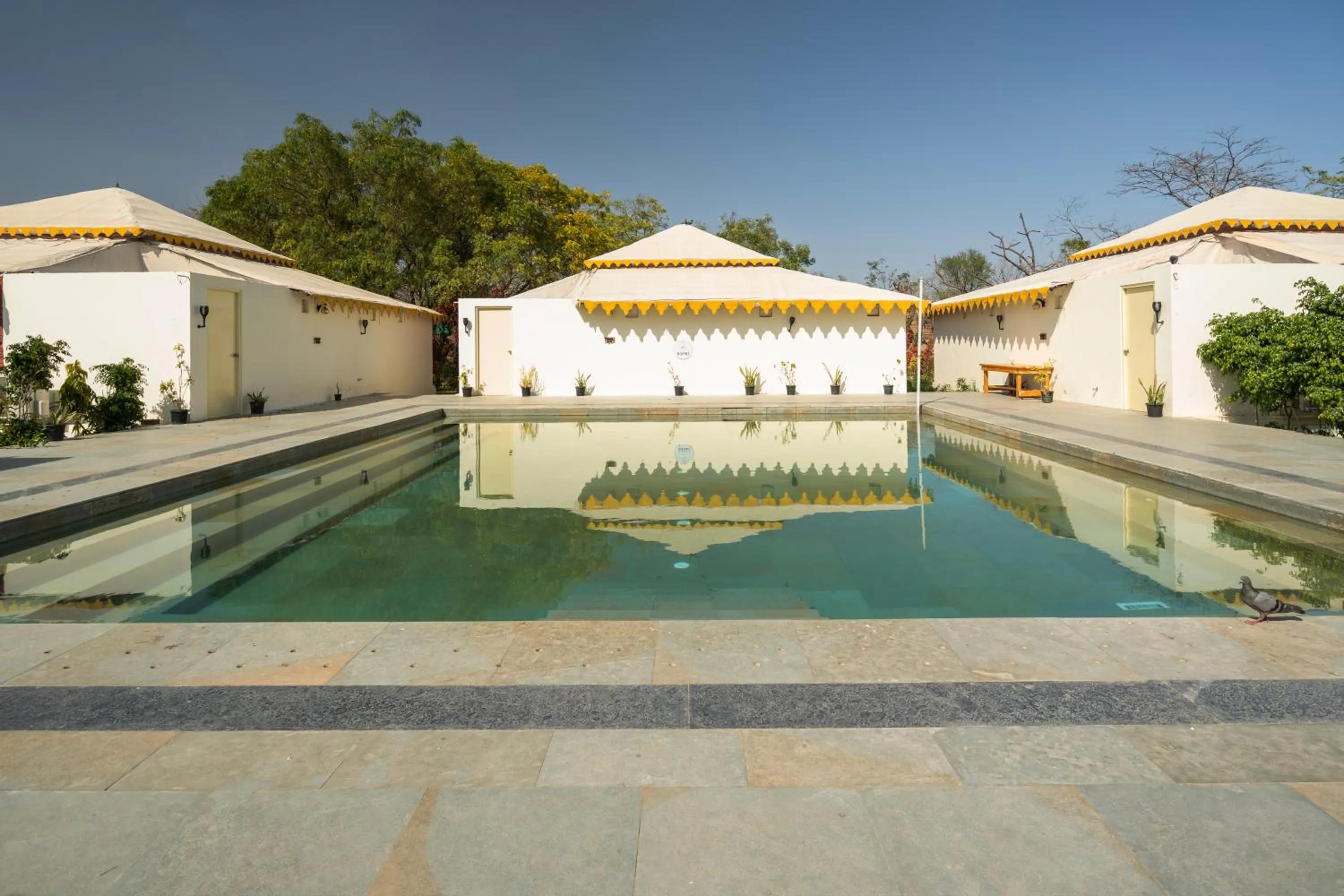 Day in Aranya by Stories