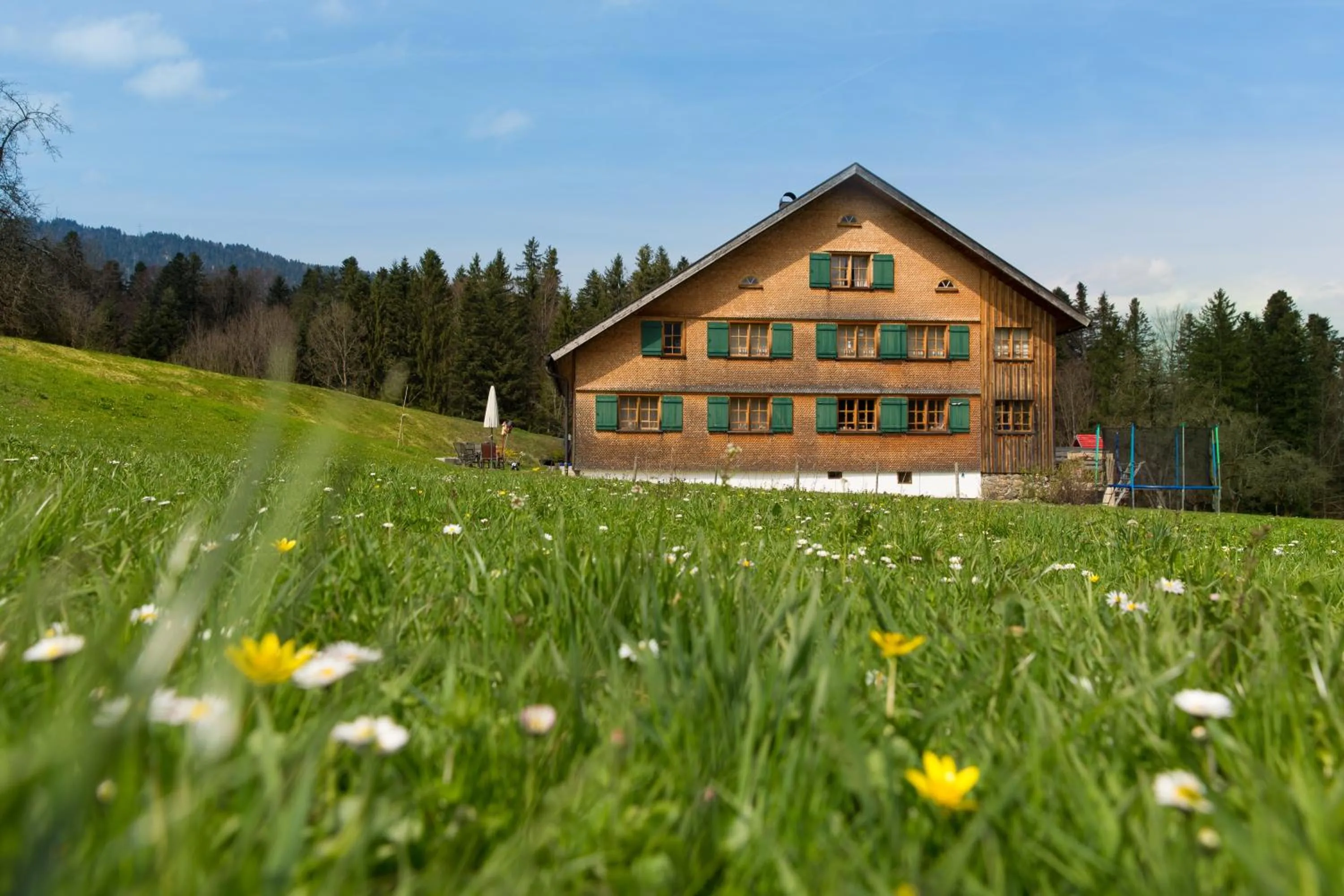 Ferienloft Waldblick