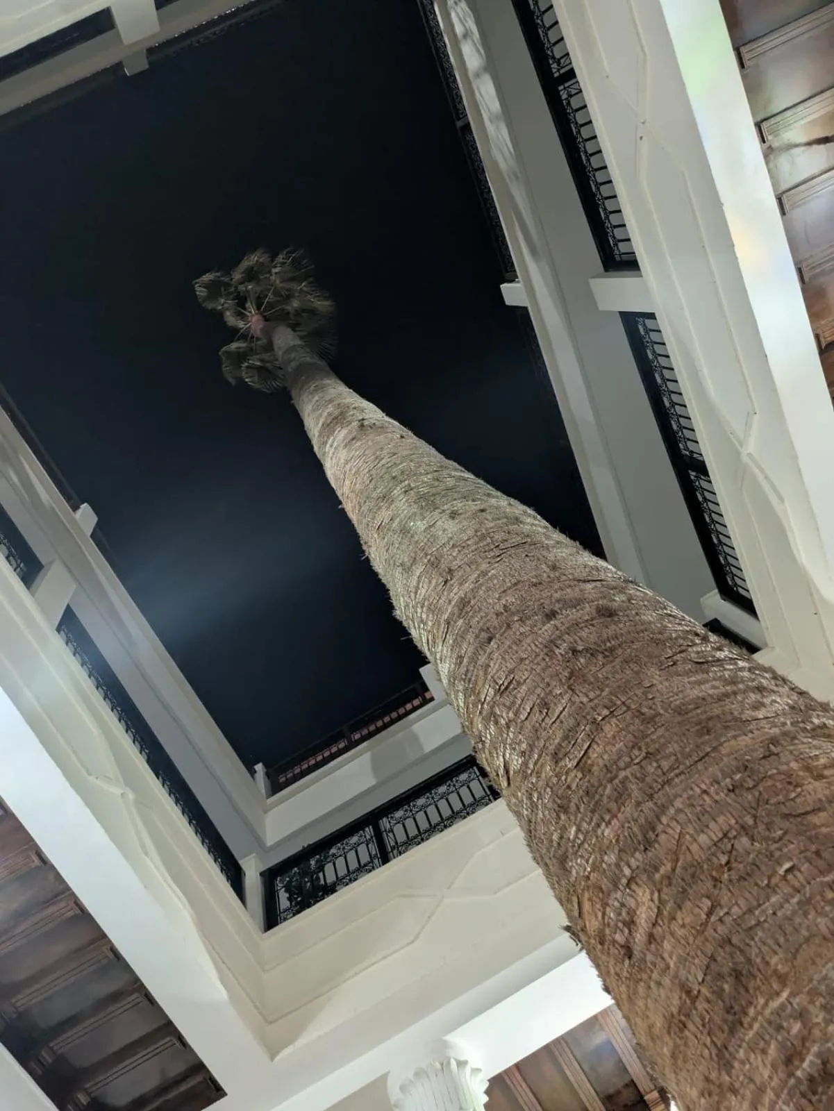 Property building in Hotel Cecil