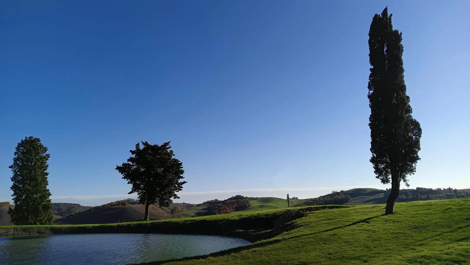Spring in Tenuta d'Arbia, Siena