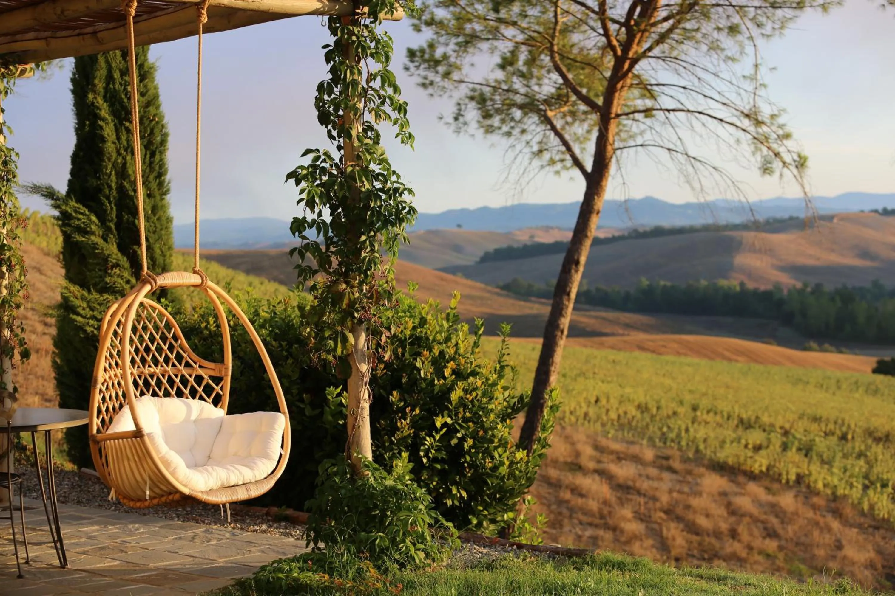 Spring in Tenuta d'Arbia, Siena