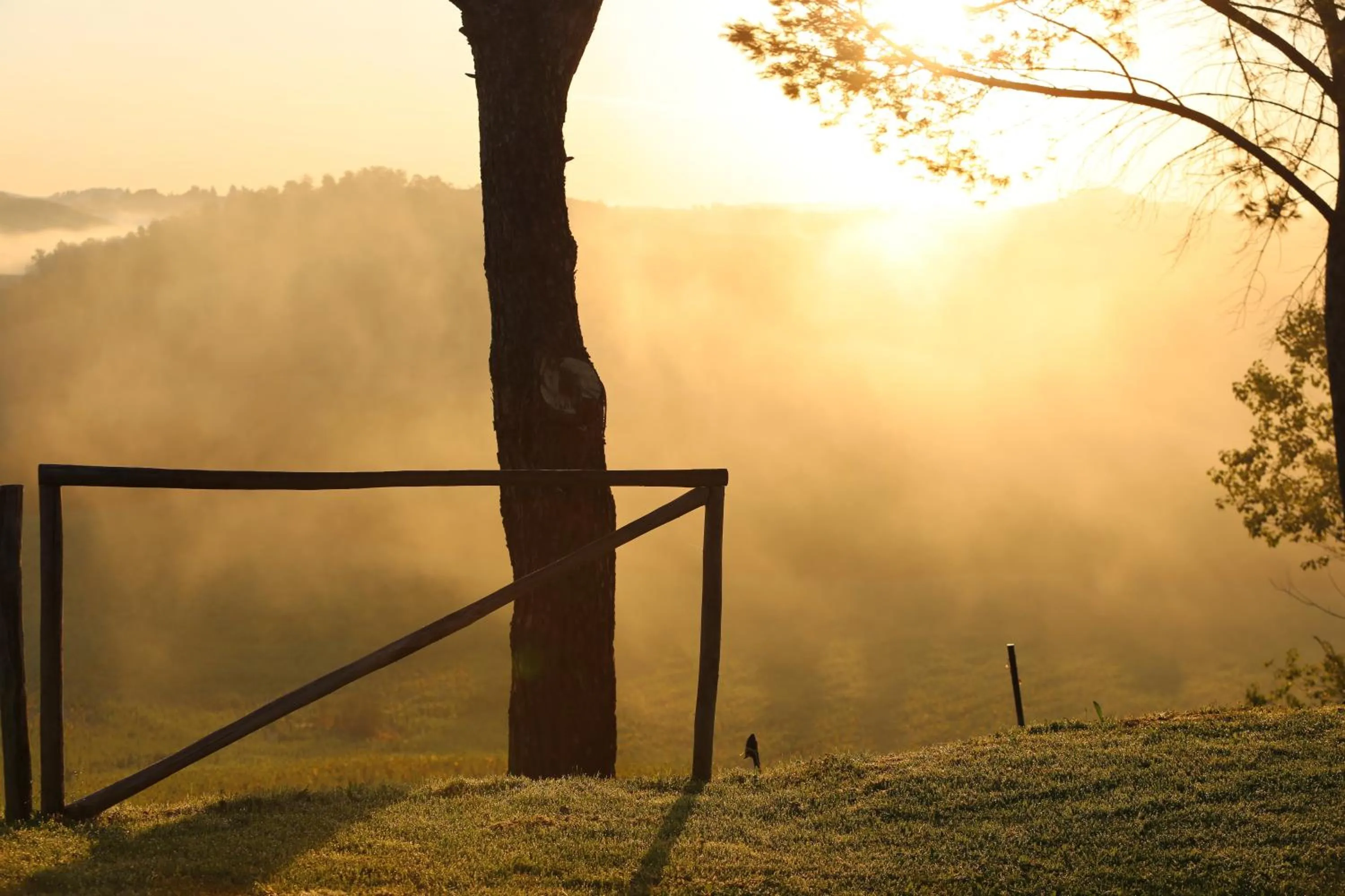 Property building in Tenuta d'Arbia, Siena