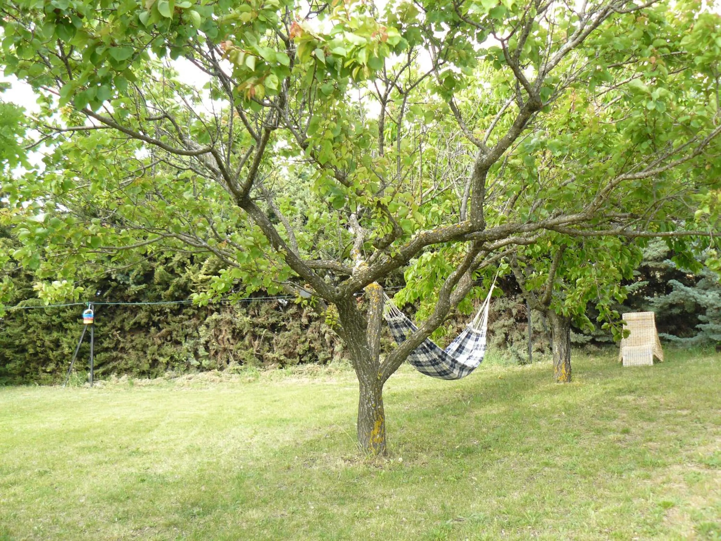 Garden in B&B La Grande Dame