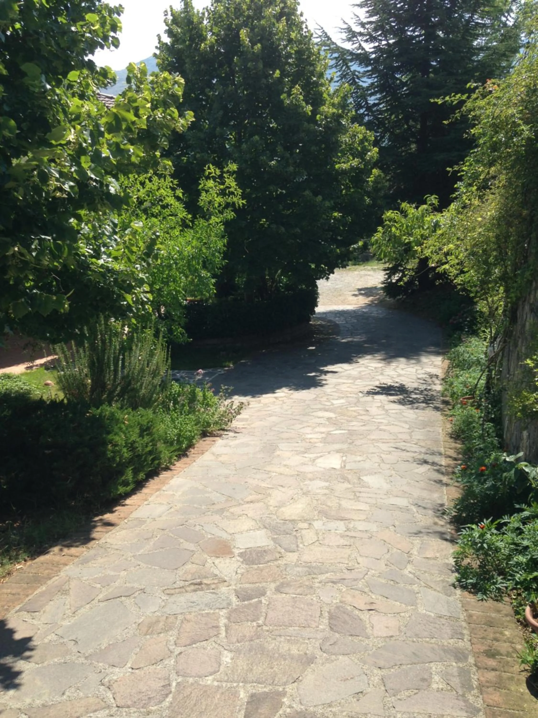 Street view in Al Vecchio Camino
