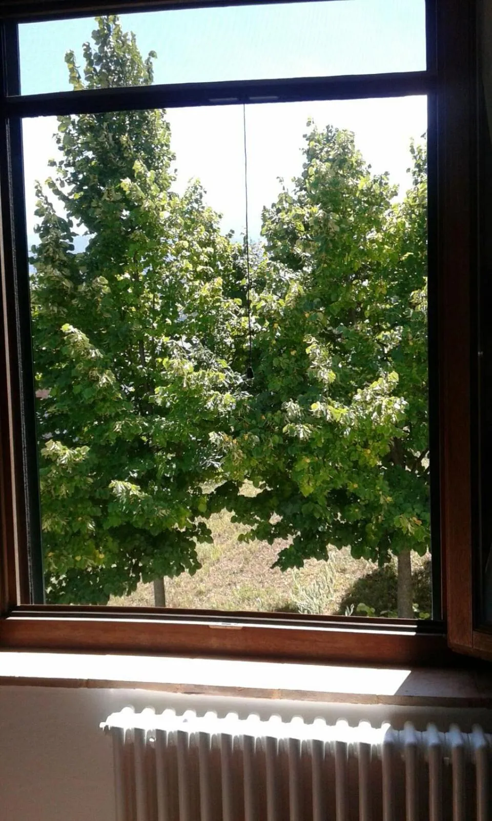 Garden view in Al Vecchio Camino
