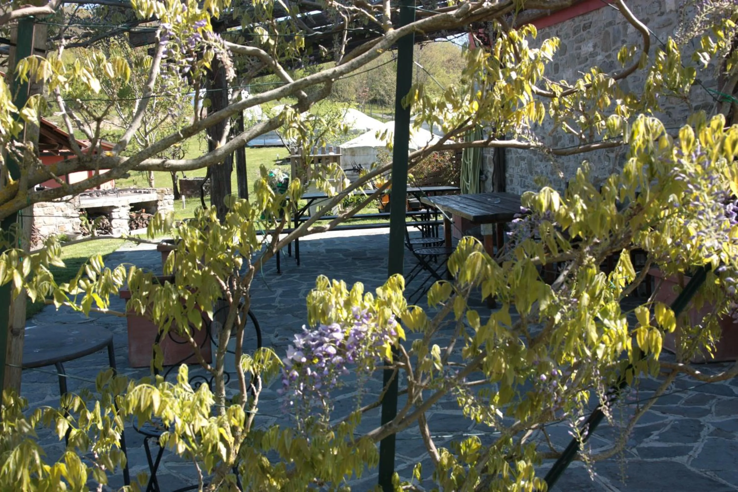 Garden in Società Agricola Cacigolara