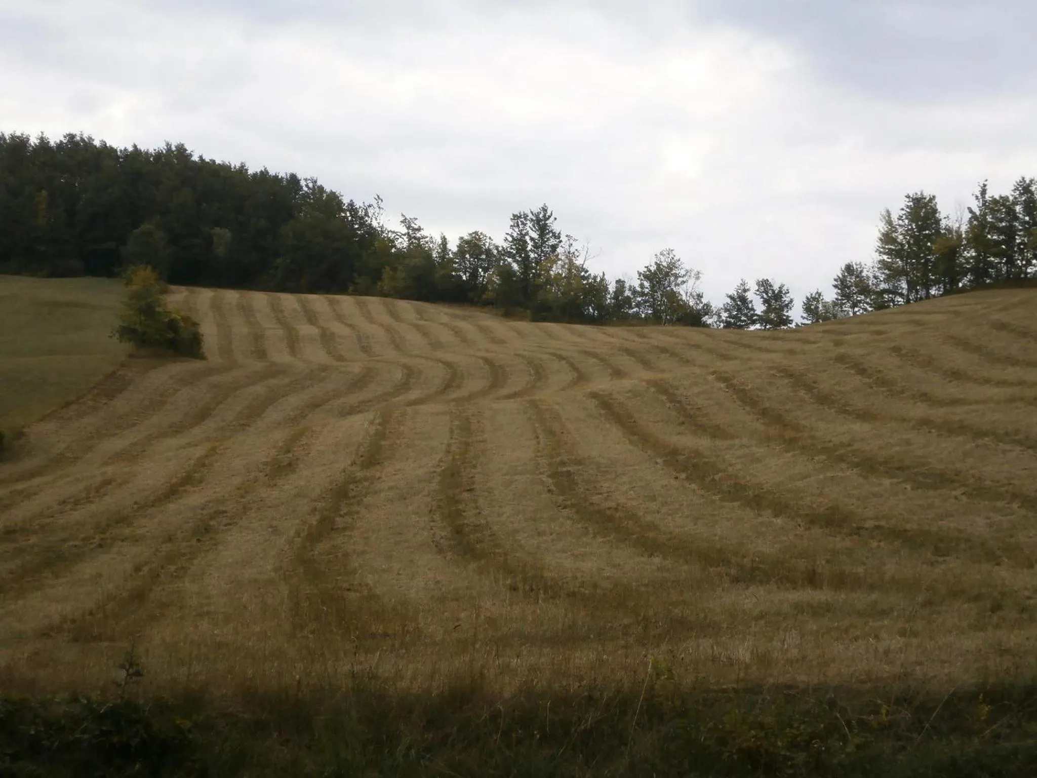 Landmark view in Società Agricola Cacigolara