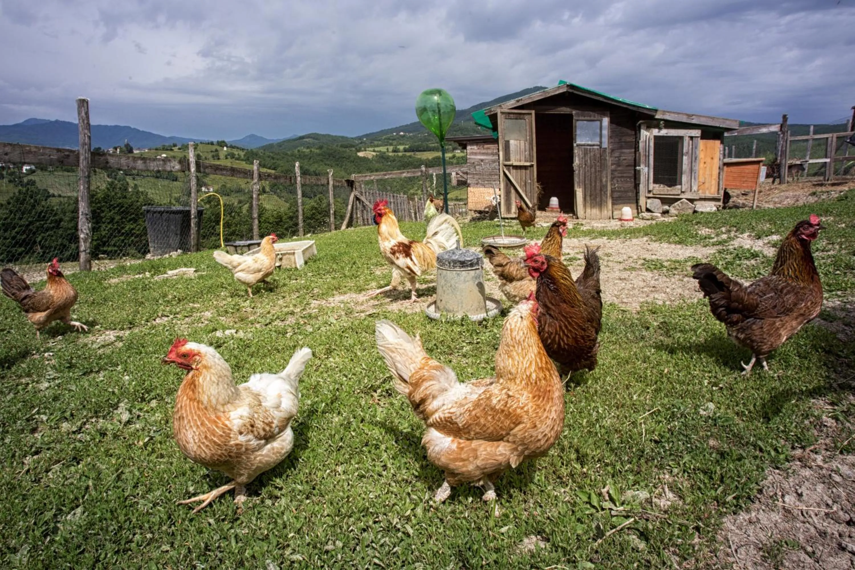 Società Agricola Cacigolara