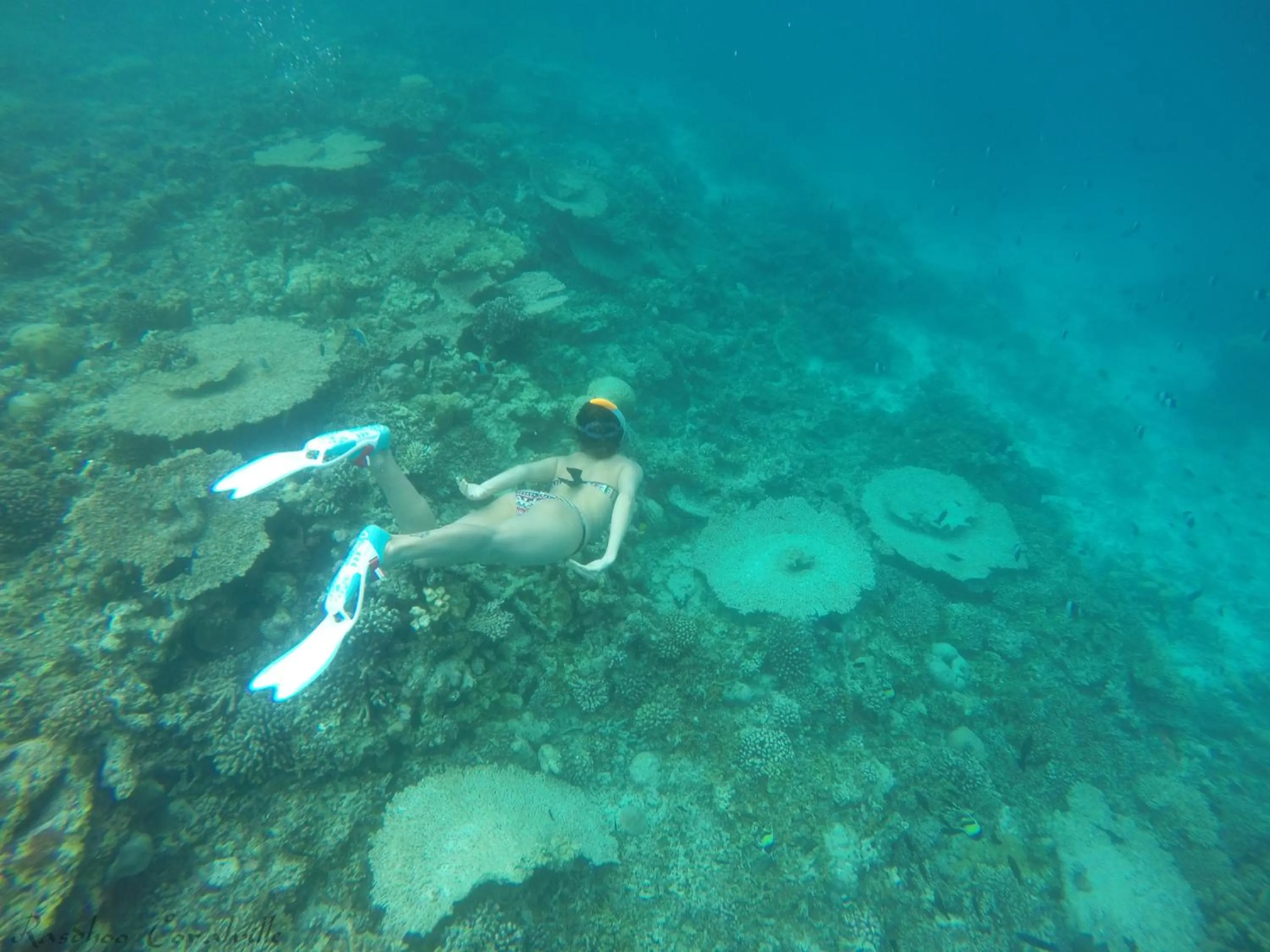 Off site in Rasdhoo Coralville