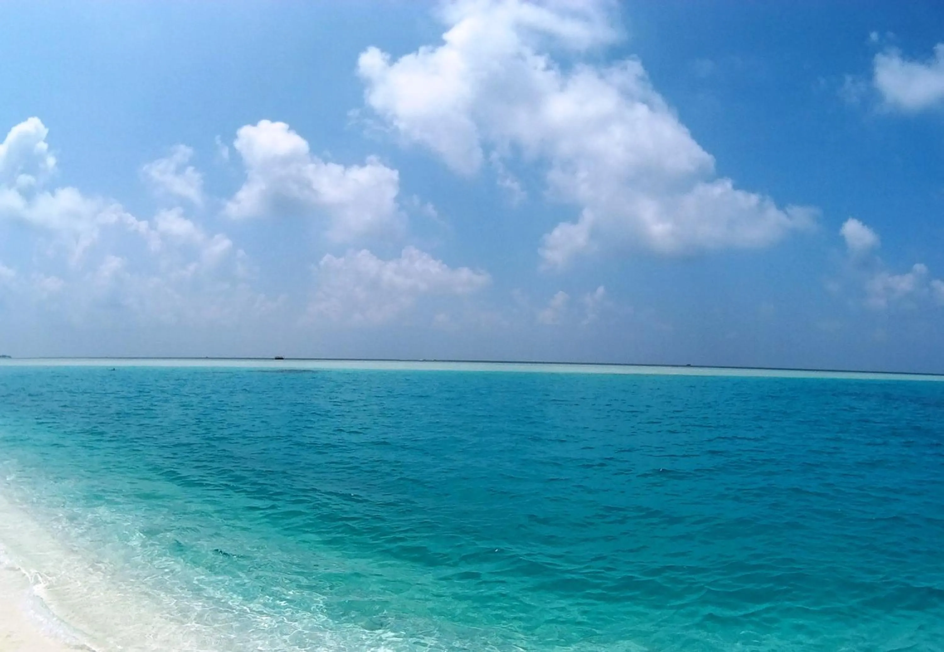 Beach in Rasdhoo Coralville