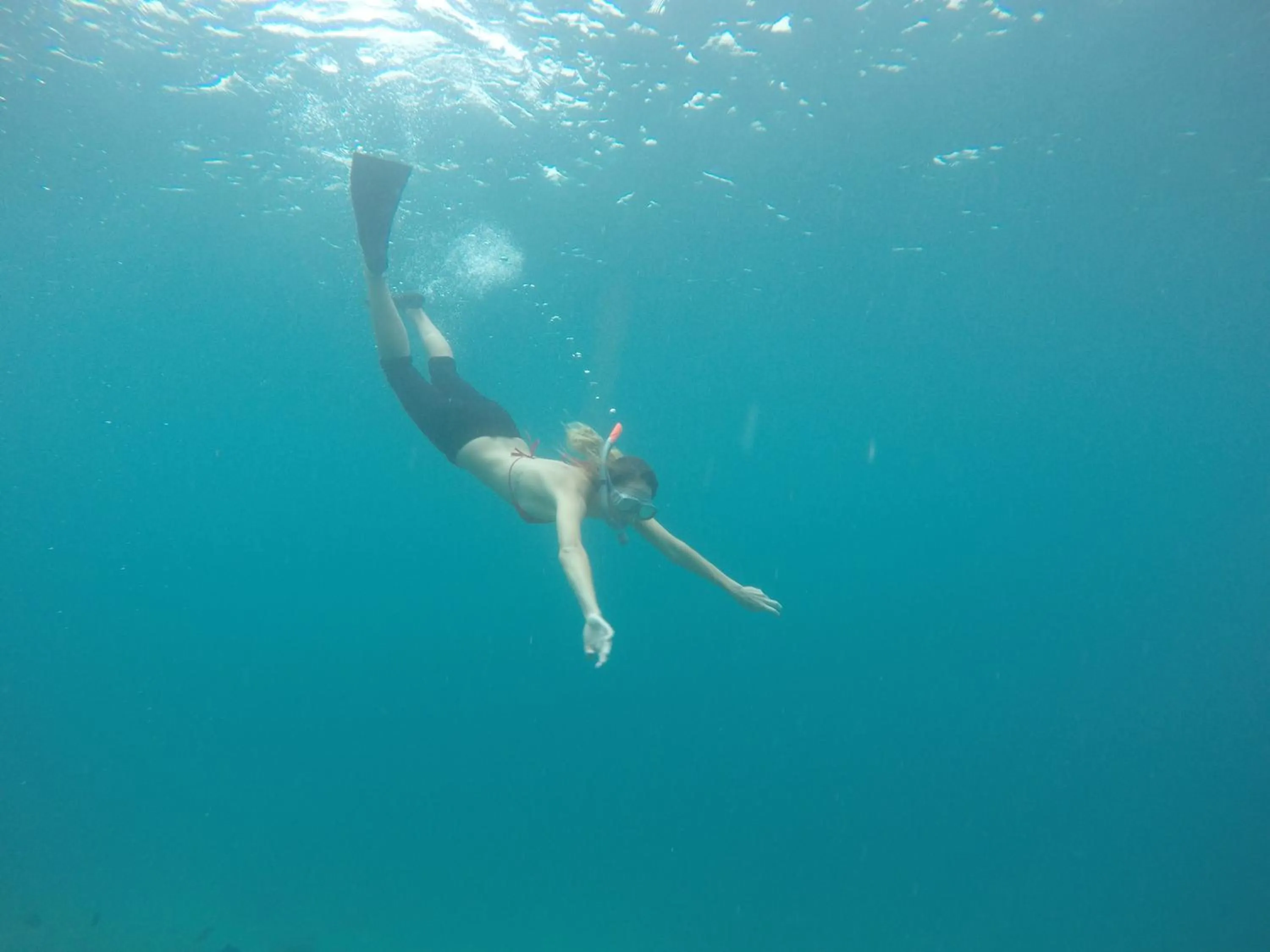 Restaurant/places to eat in Rasdhoo Coralville