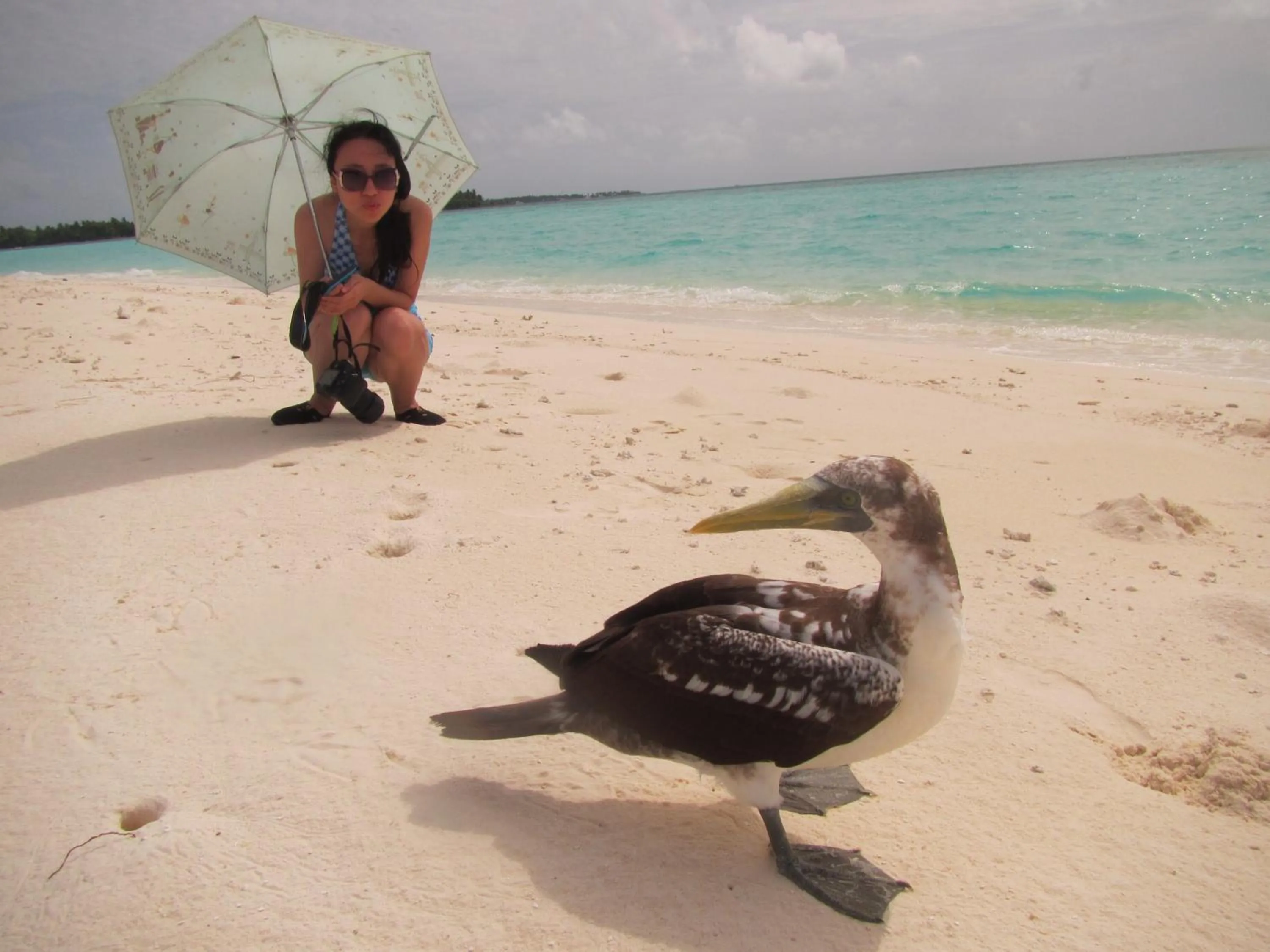 Beach in Rasdhoo Coralville