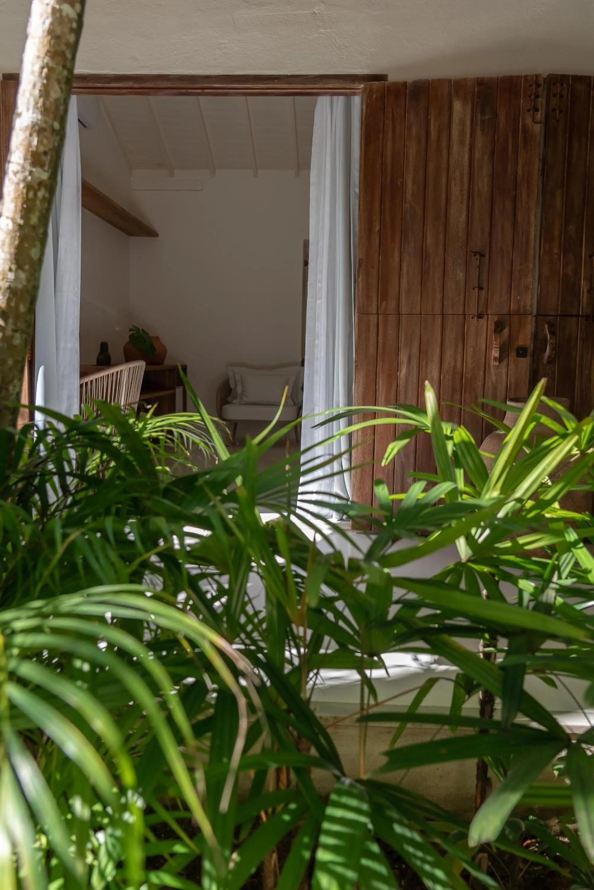 Garden in Hotel Vila São João