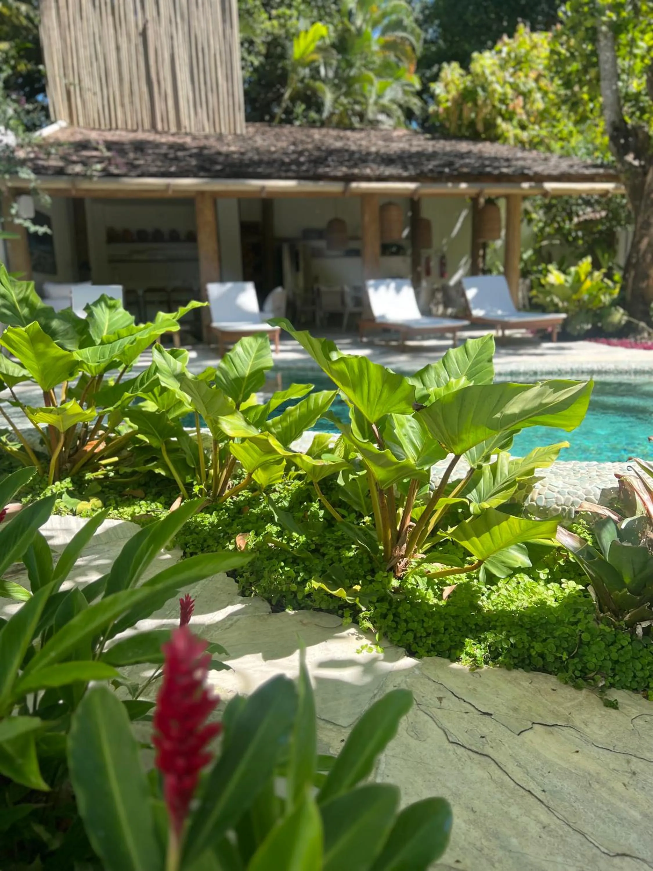 Patio in Hotel Vila São João
