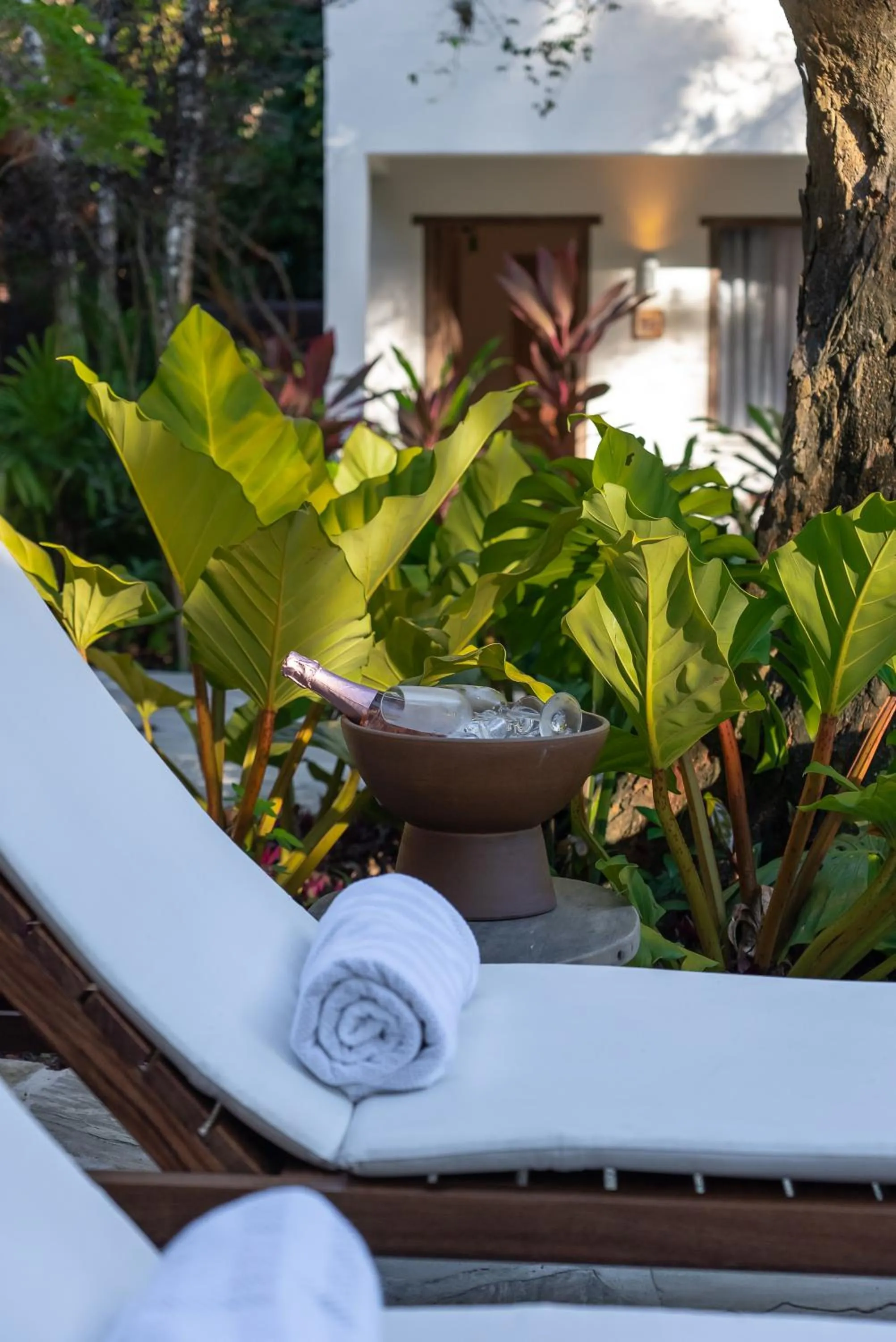 Garden view in Hotel Vila São João