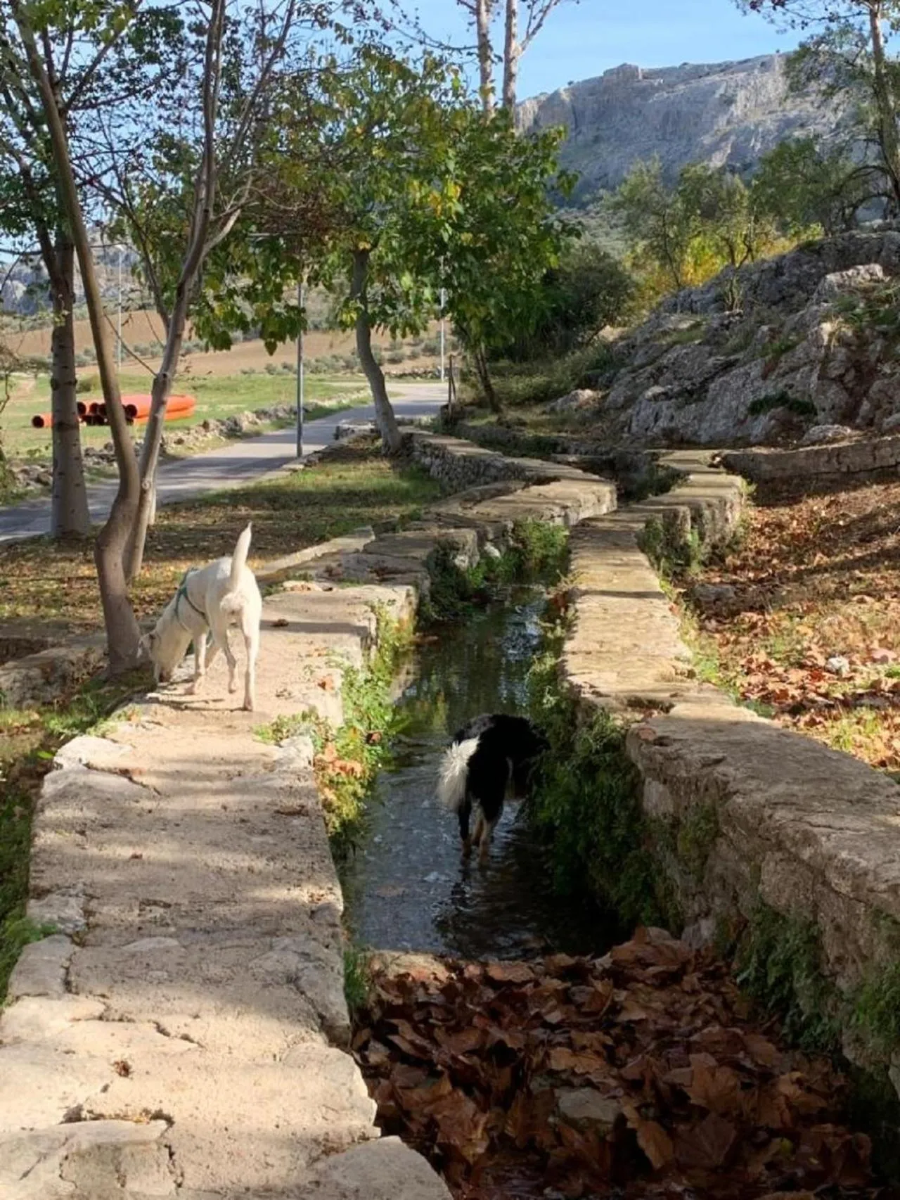 Villa Remedios