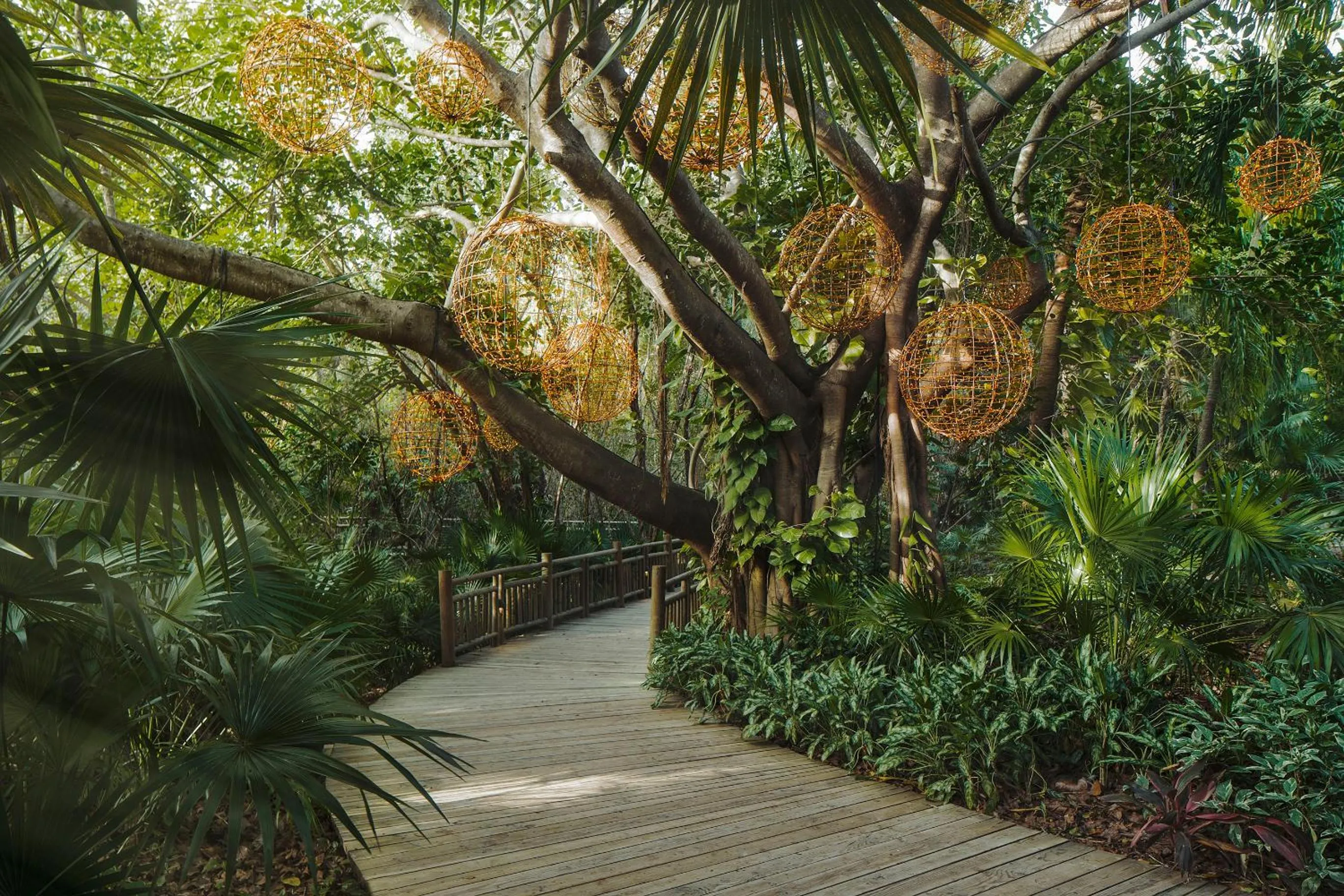 Garden in Jungala Hotel at VidantaWorld Riviera Maya