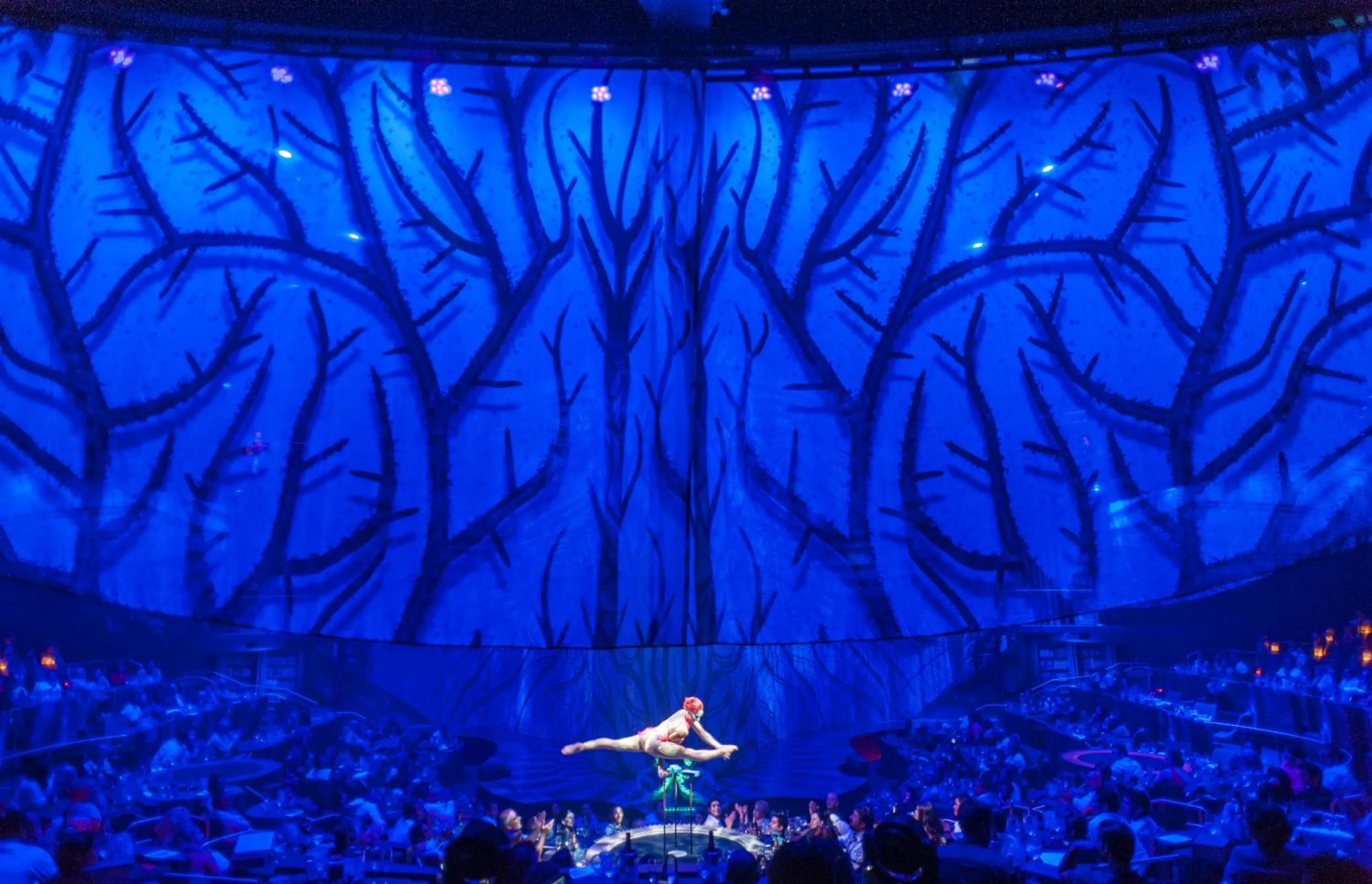 Entertainment in Jungala Hotel at VidantaWorld Riviera Maya