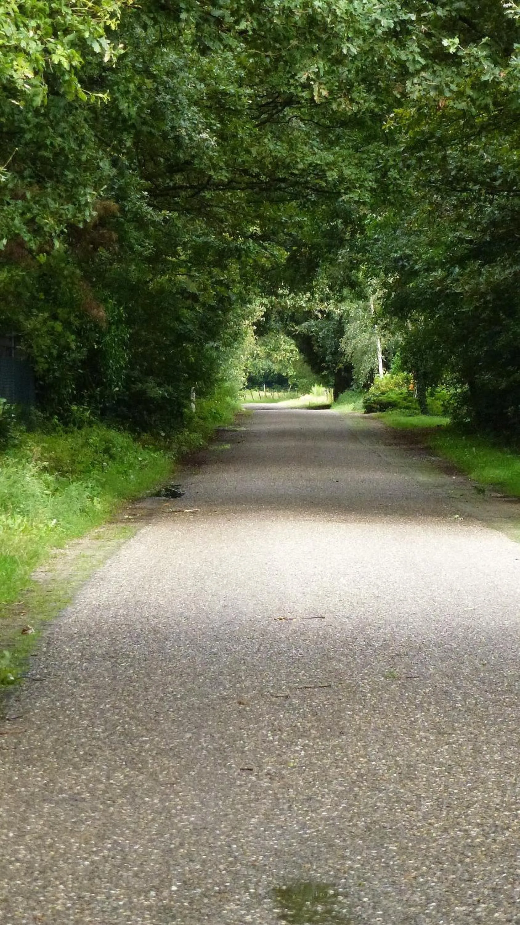 Neighbourhood in B&B Ferme Knaapen