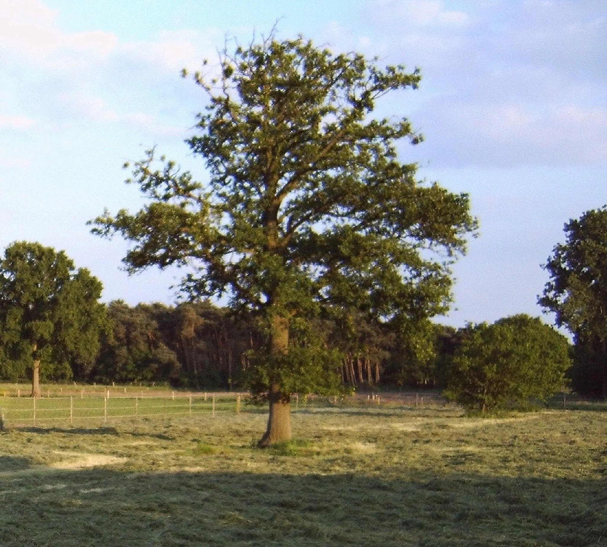 Neighbourhood in B&B Ferme Knaapen