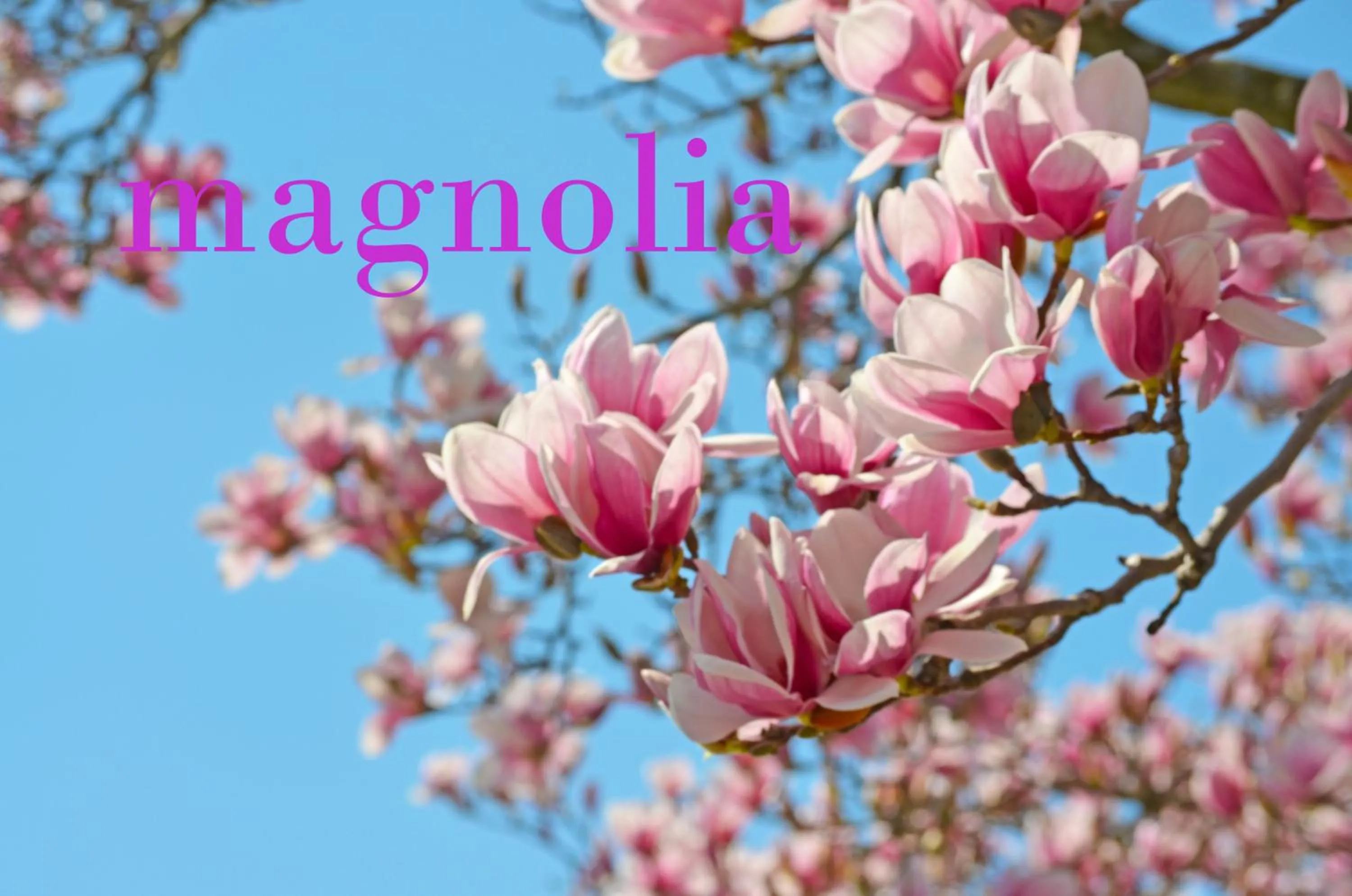 Decorative detail in B&B Ferme Knaapen