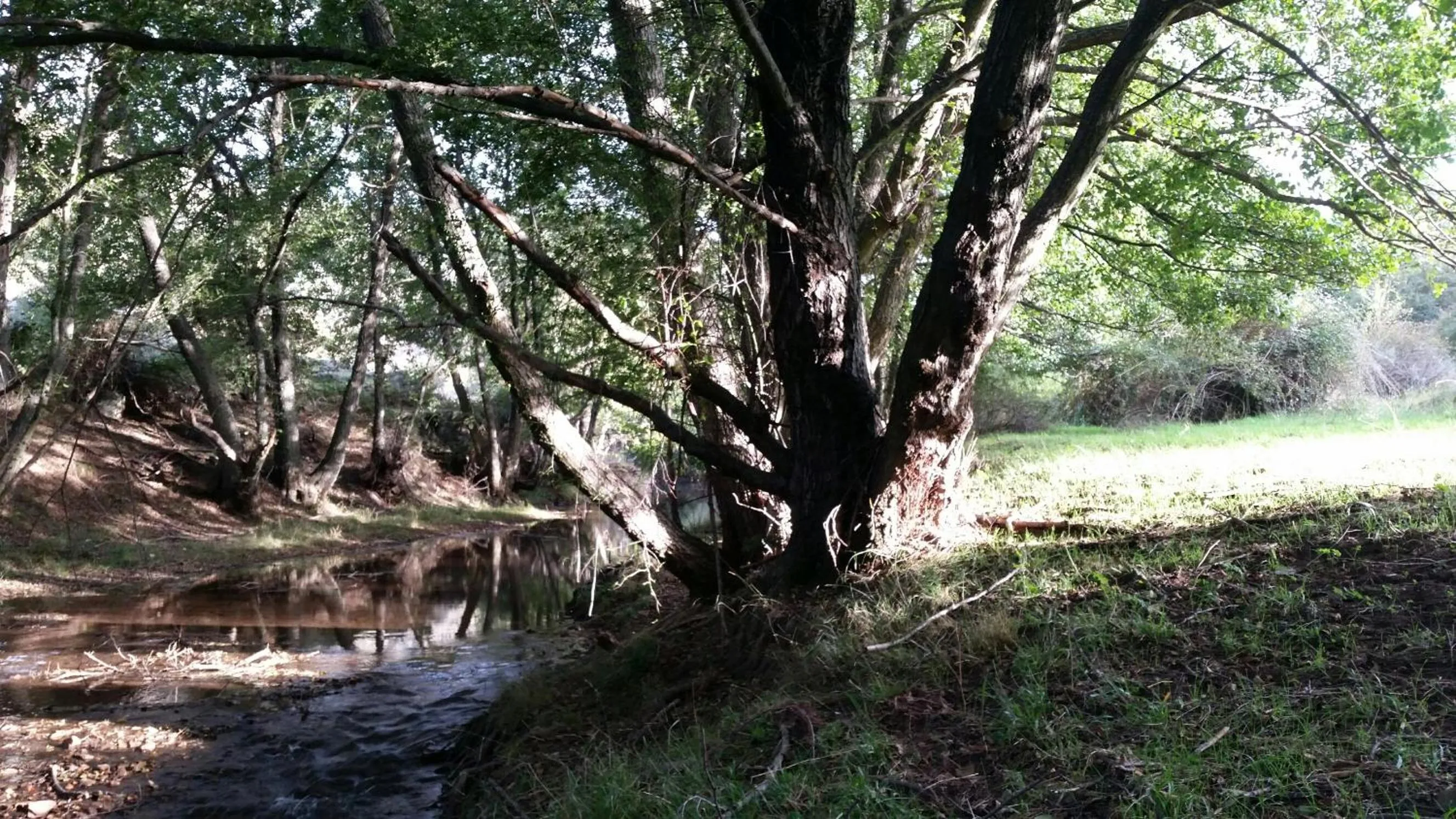 Fishing in La Casa de San Gil