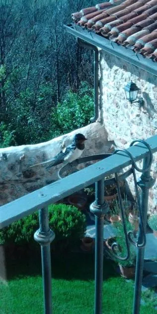 Balcony/Terrace in La Casa de San Gil