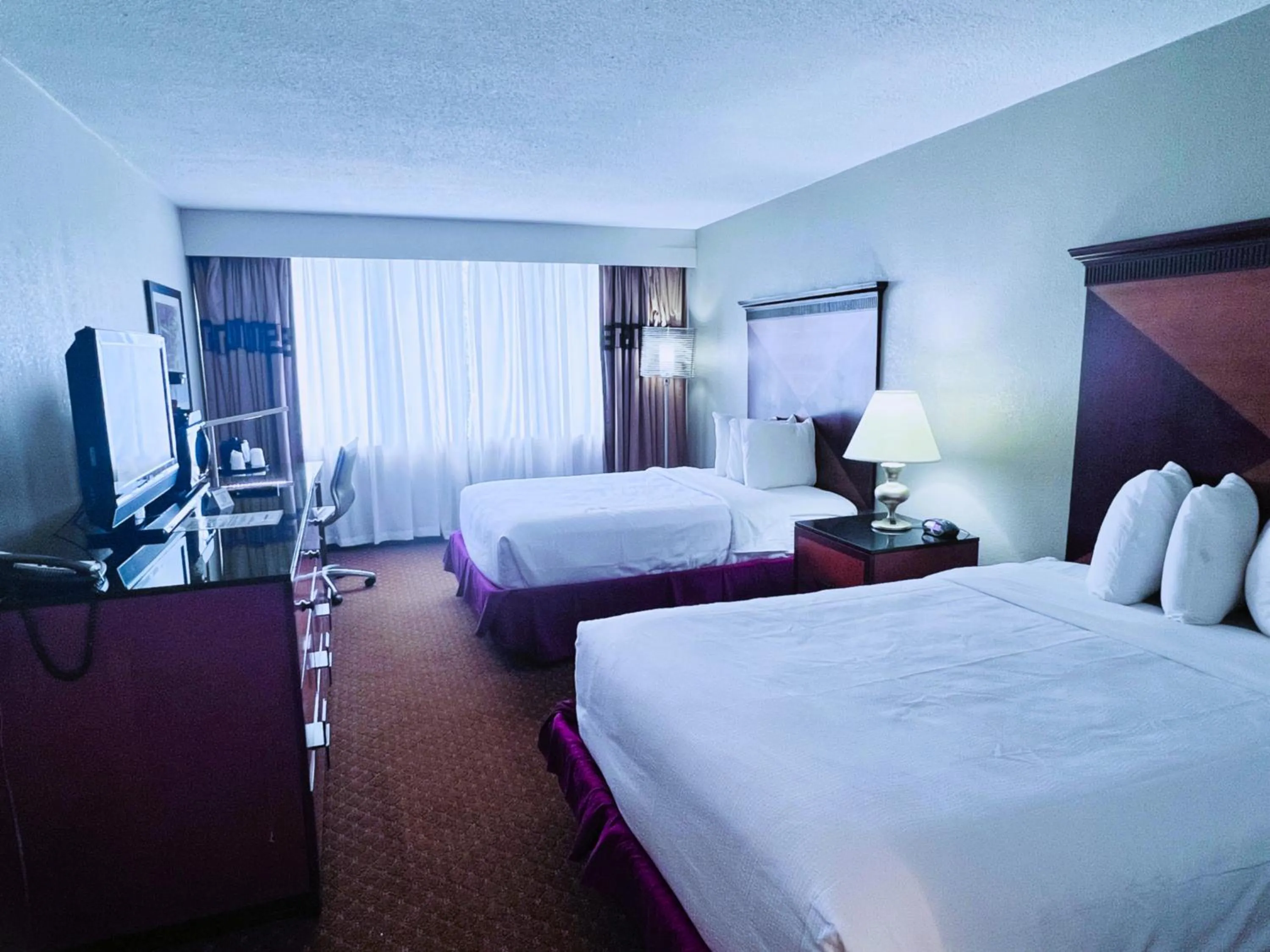 Photo of the whole room in Indy Hotel