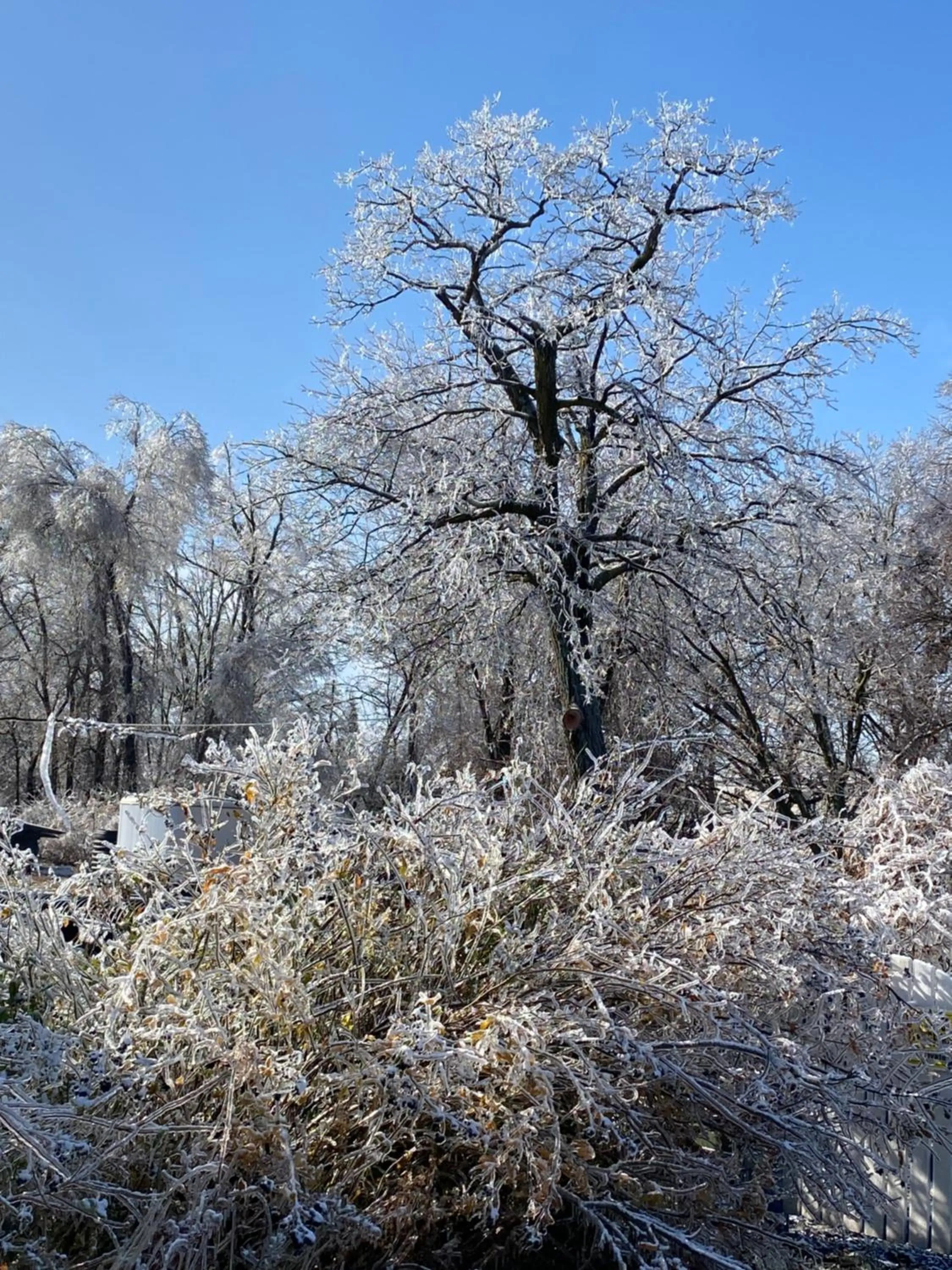 Natural landscape in Burr Oak Motel
