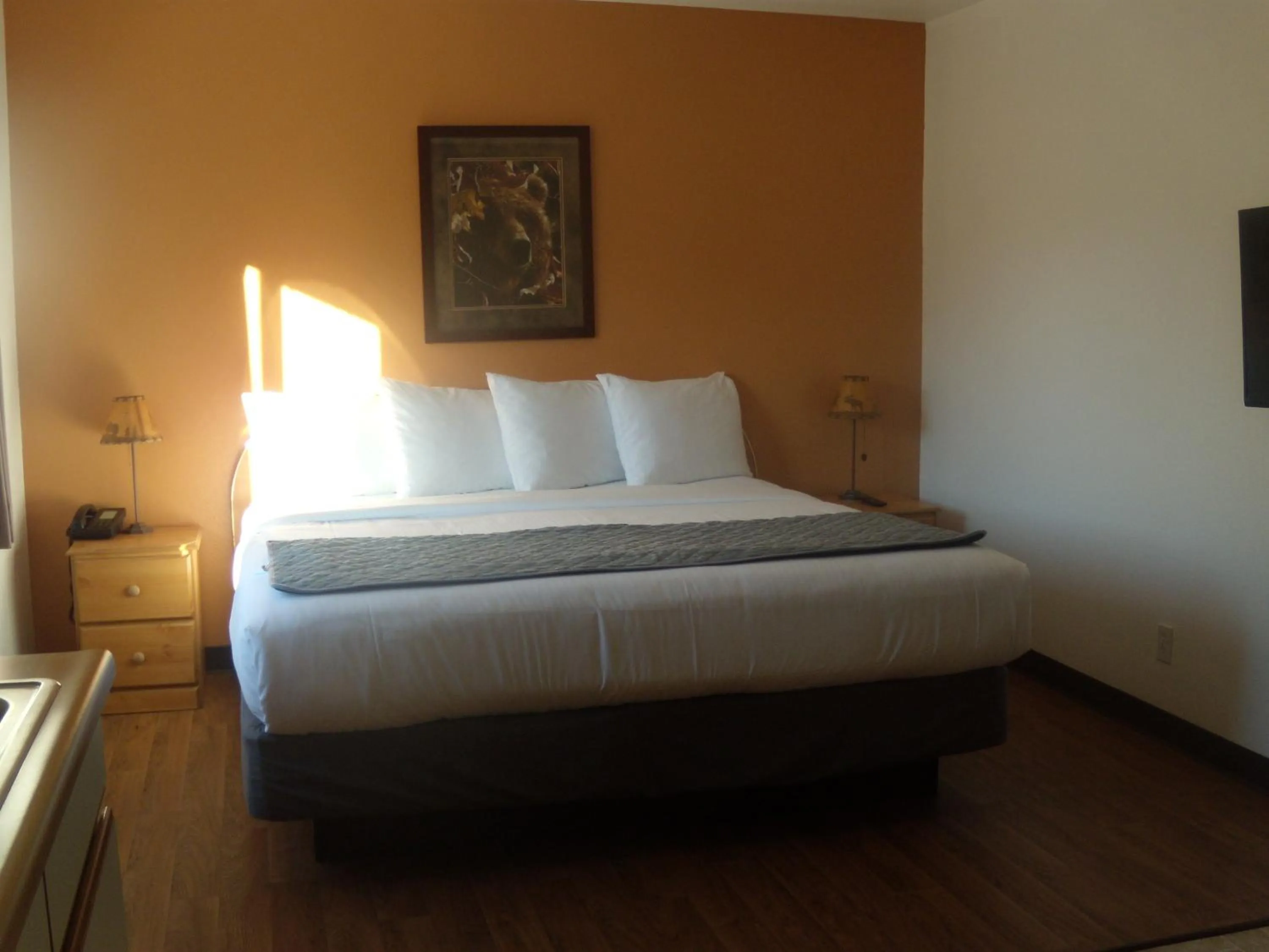 Pet Friendly King Studio with Kitchenette in Corral Creek Lodge