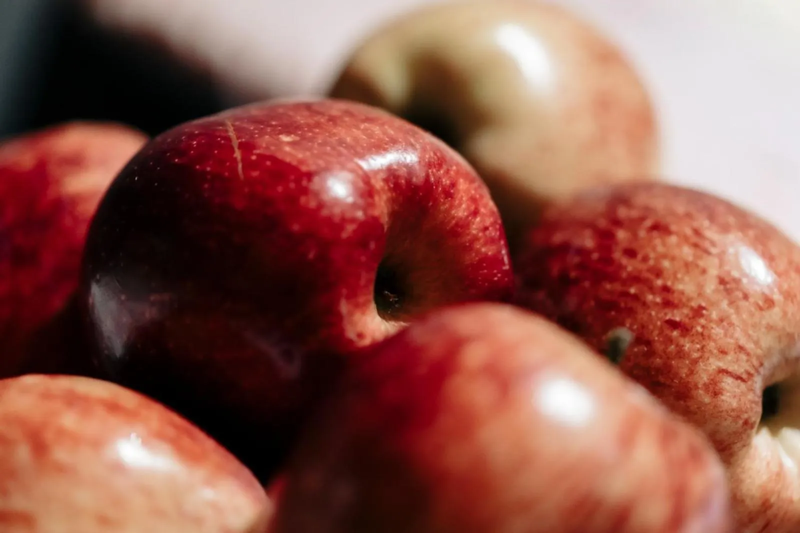 Rainforest Hotel & Cabañas