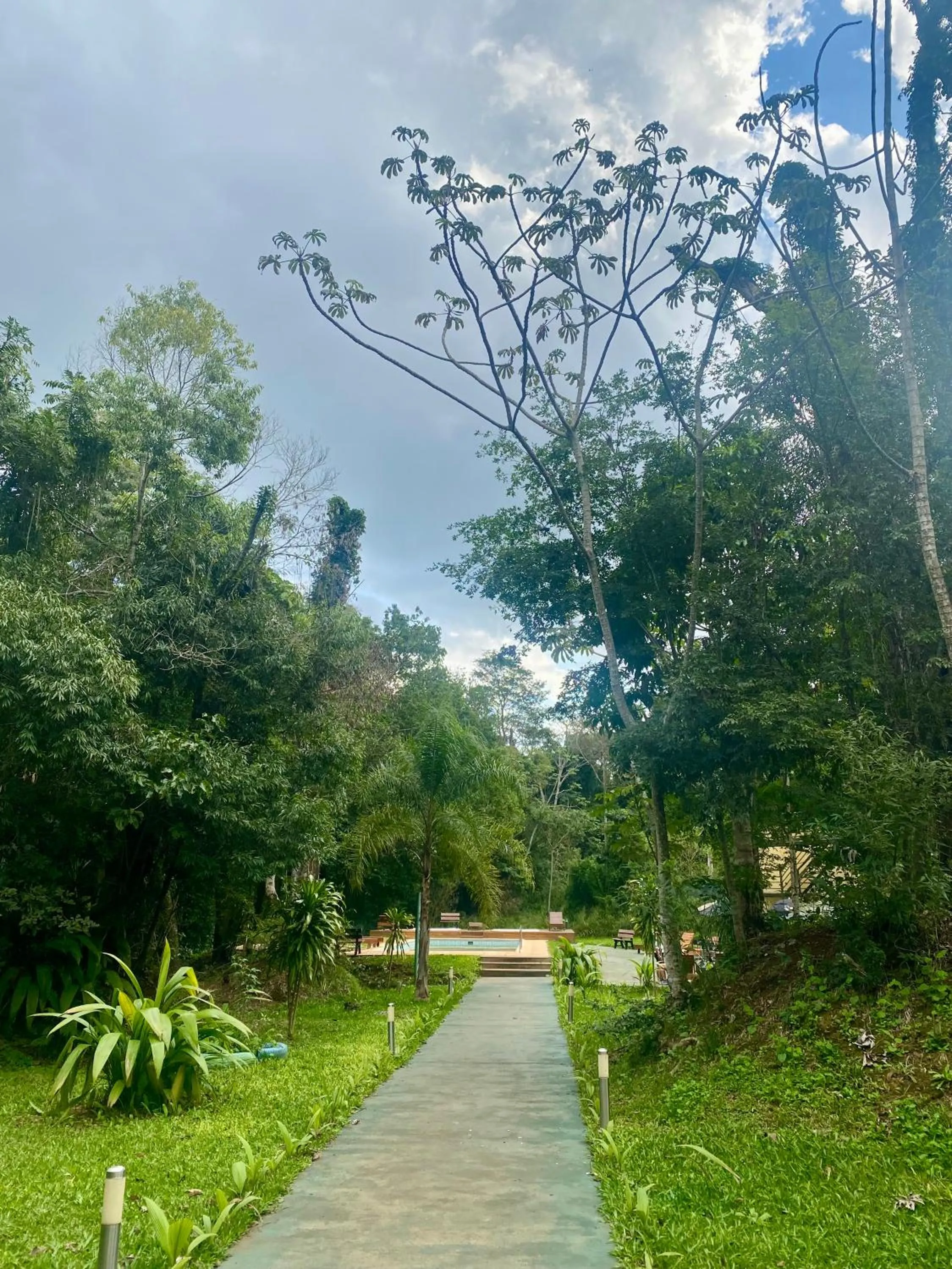 Rainforest Hotel & Cabañas