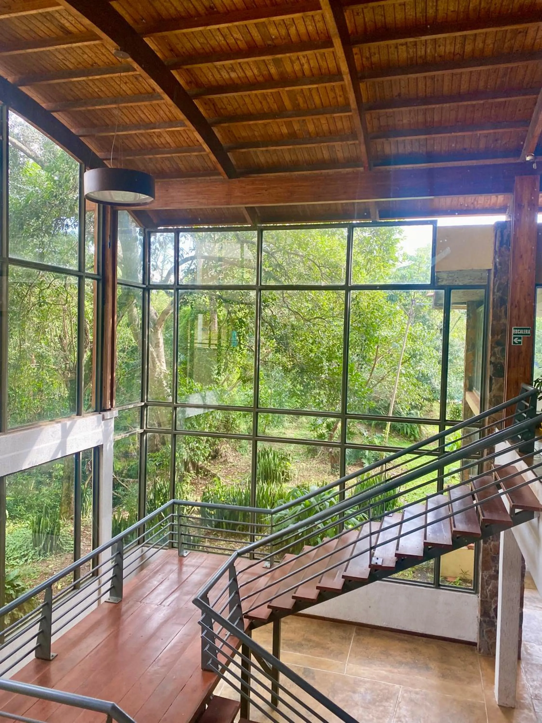 Rainforest Hotel & Cabañas