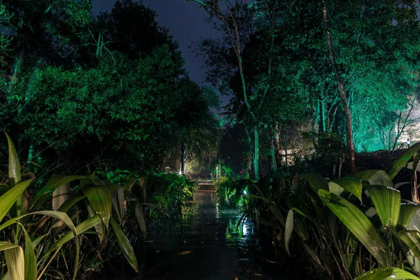 Rainforest Hotel & Cabañas