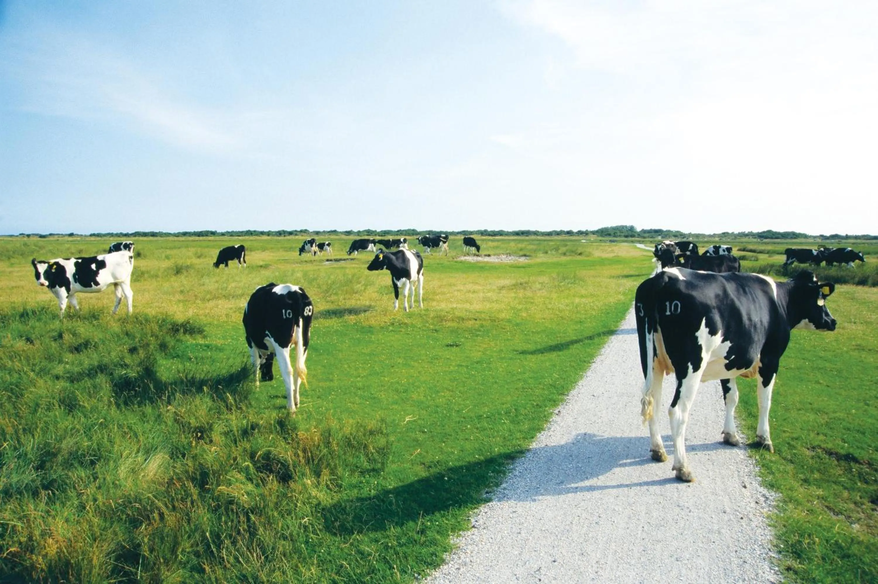 Area and facilities in Fletcher Hotel Restaurant Heidehof