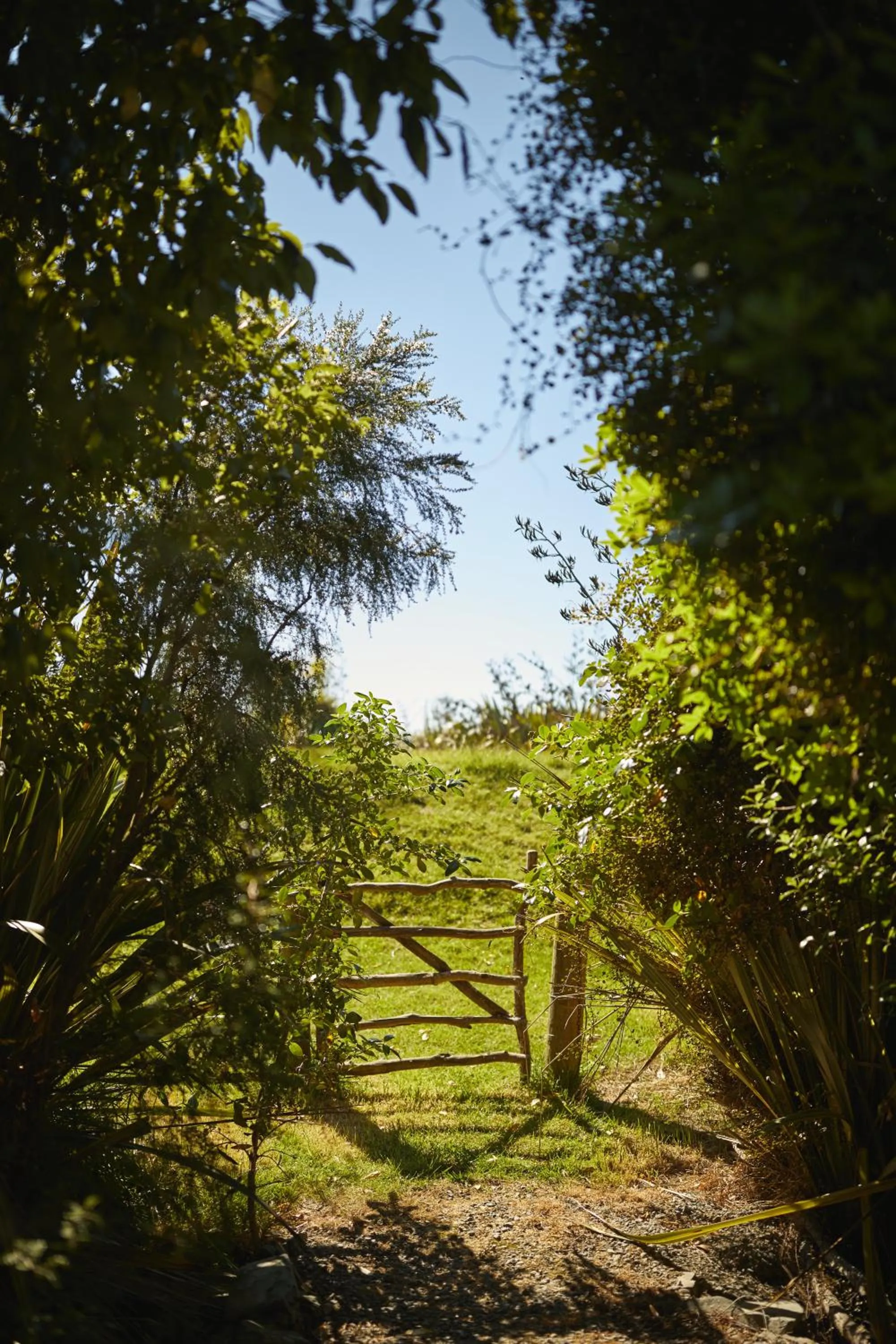Natural landscape in Misty River Retreat