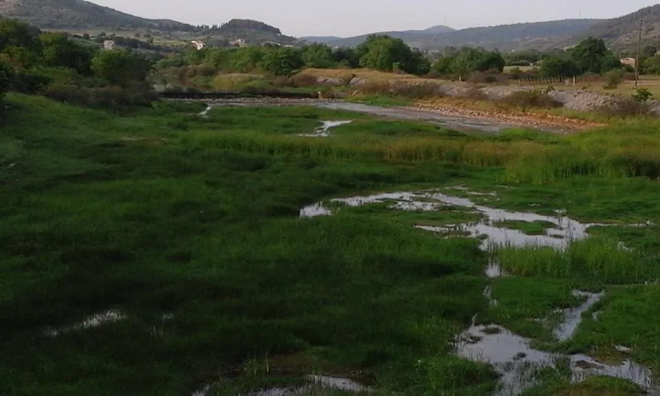 Day in Hotel Isidora