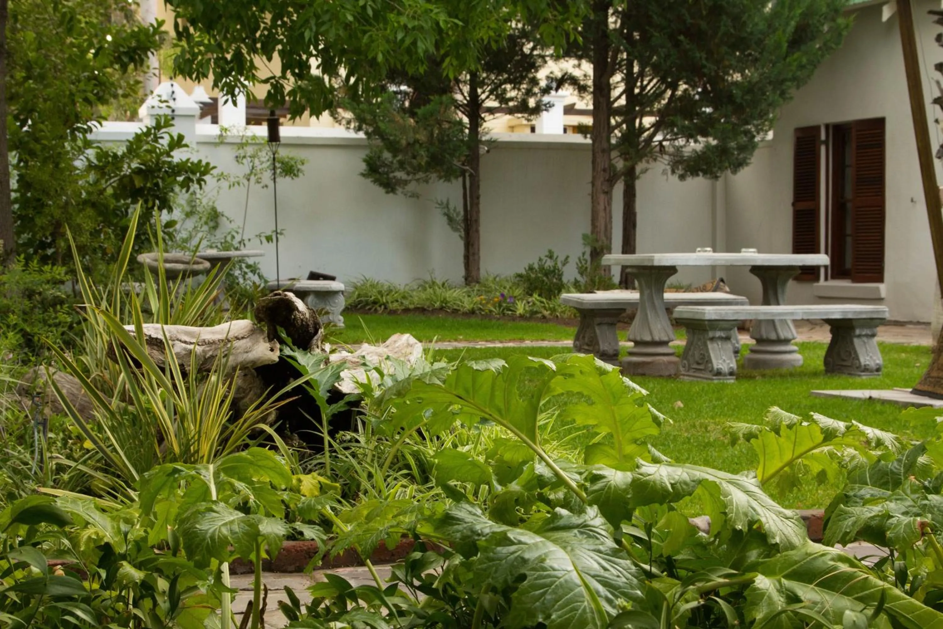 Garden in Matoppo Inn