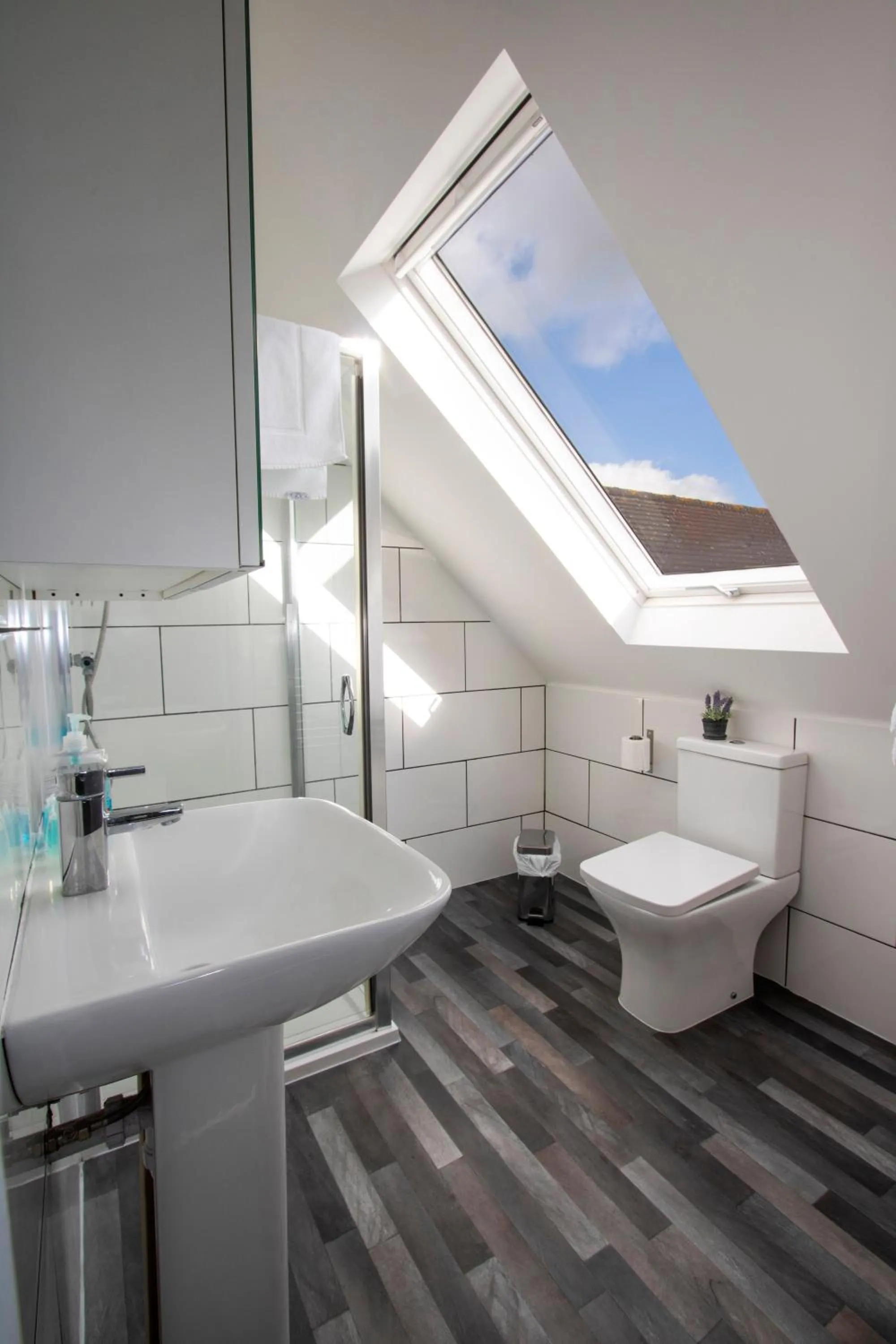 Shower in New Forest Lodge