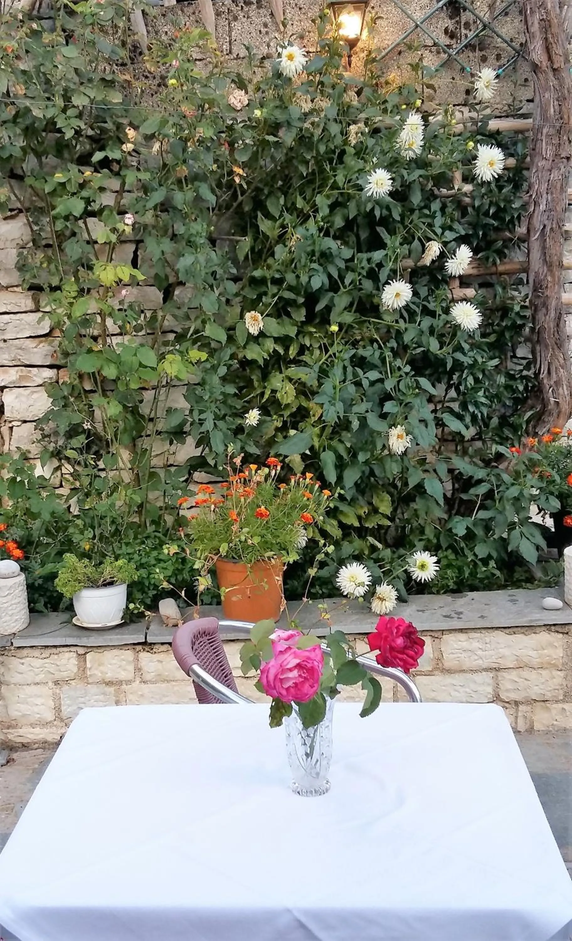 Garden in Archontiko Evridikis