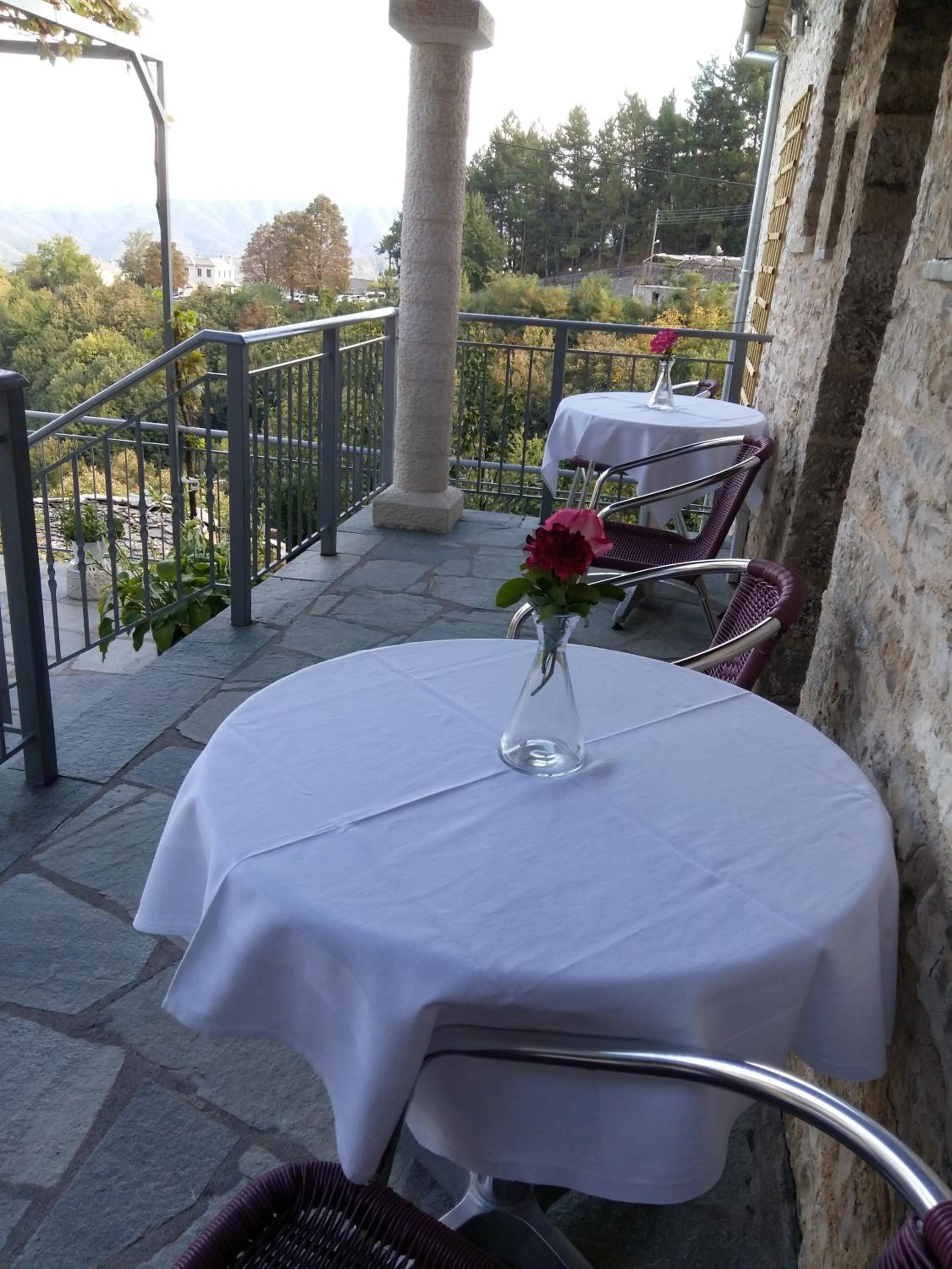 View (from property/room) in Archontiko Evridikis