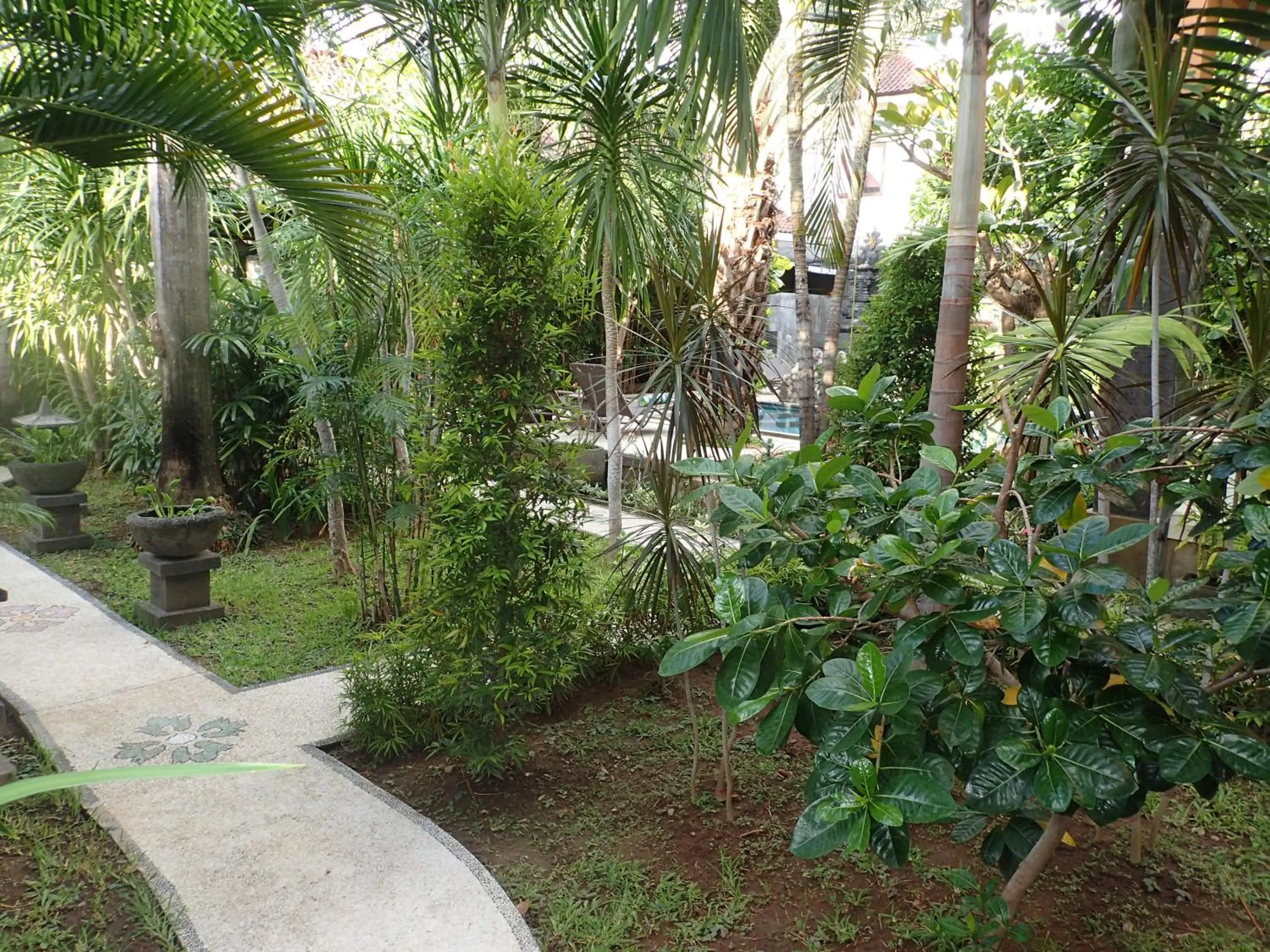 Garden view in Alami Resort, Restaurant and Dive Center