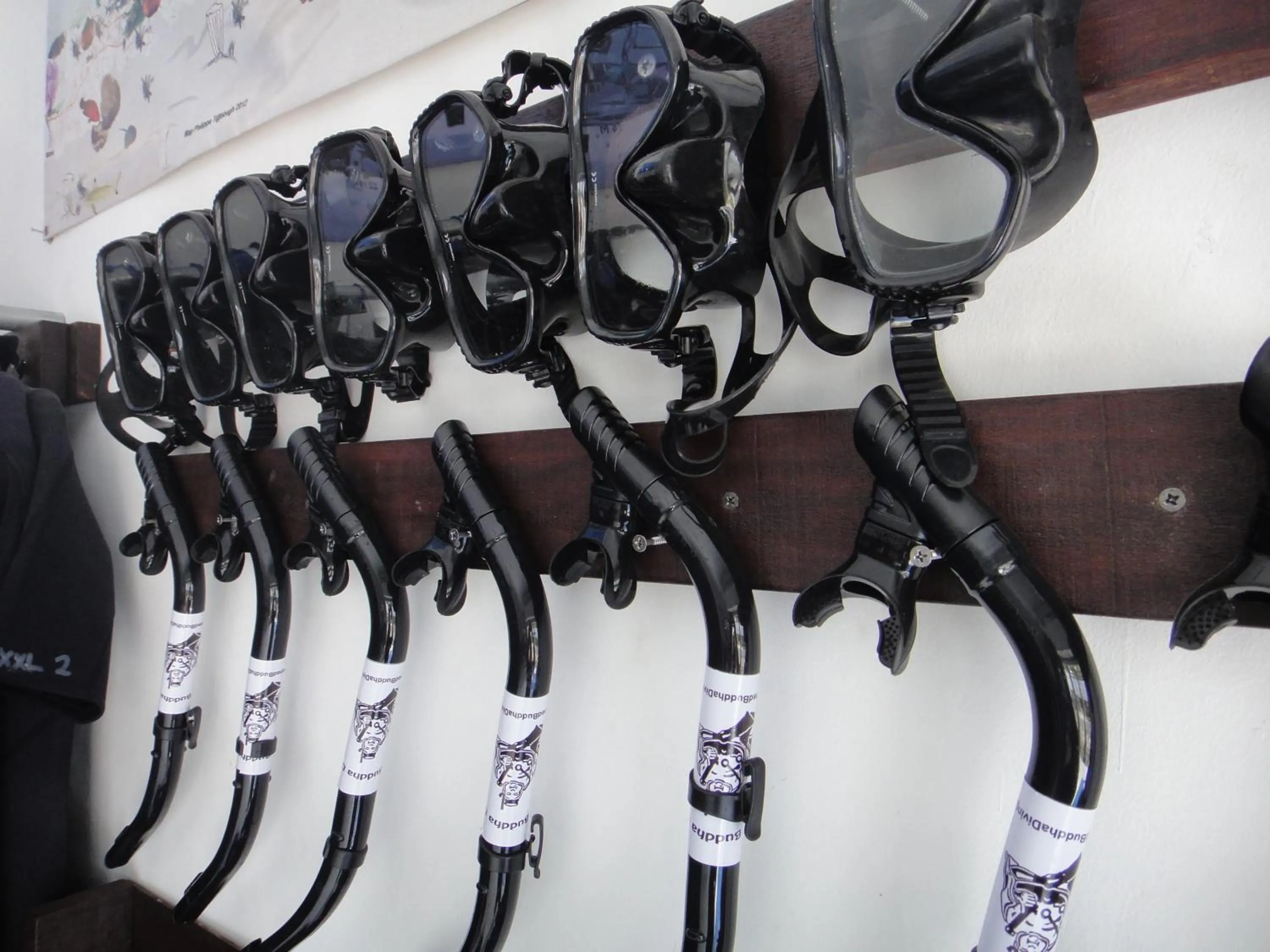 Diving in Alami Resort, Restaurant and Dive Center