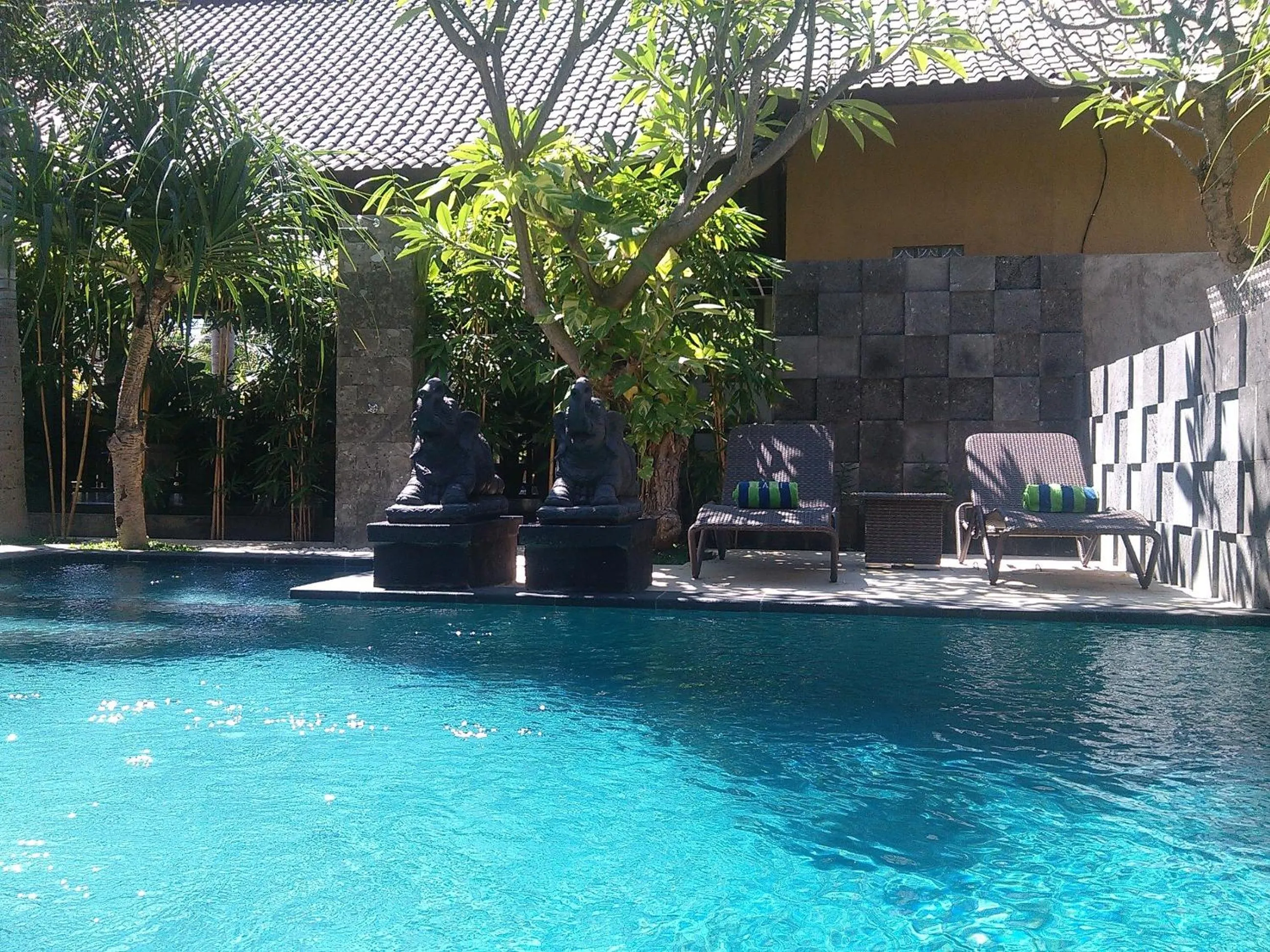 Swimming pool in Alami Resort, Restaurant and Dive Center