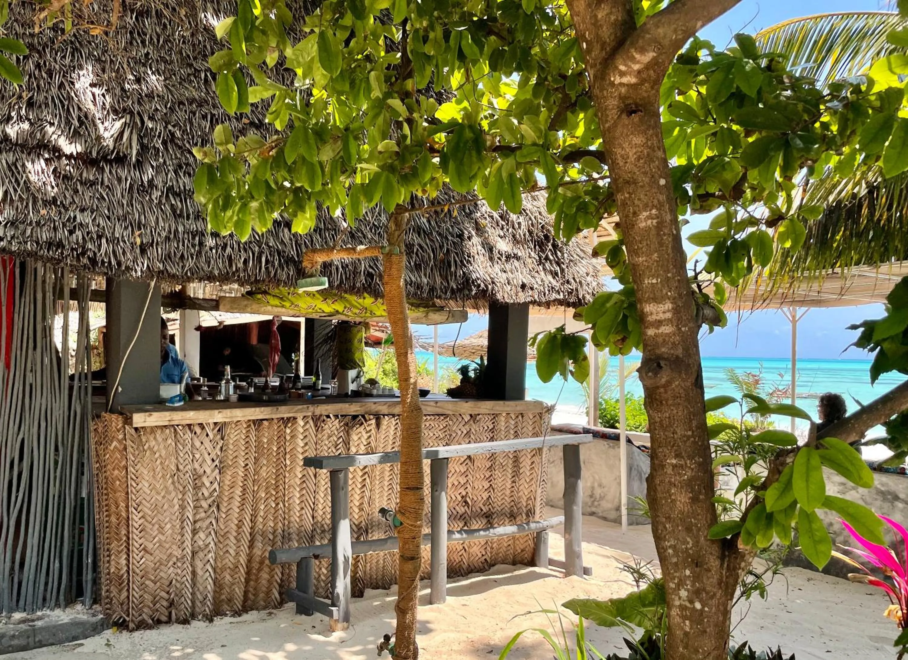 Lounge or bar in Blue Reef Sport & Fishing Lodge and Bungalows