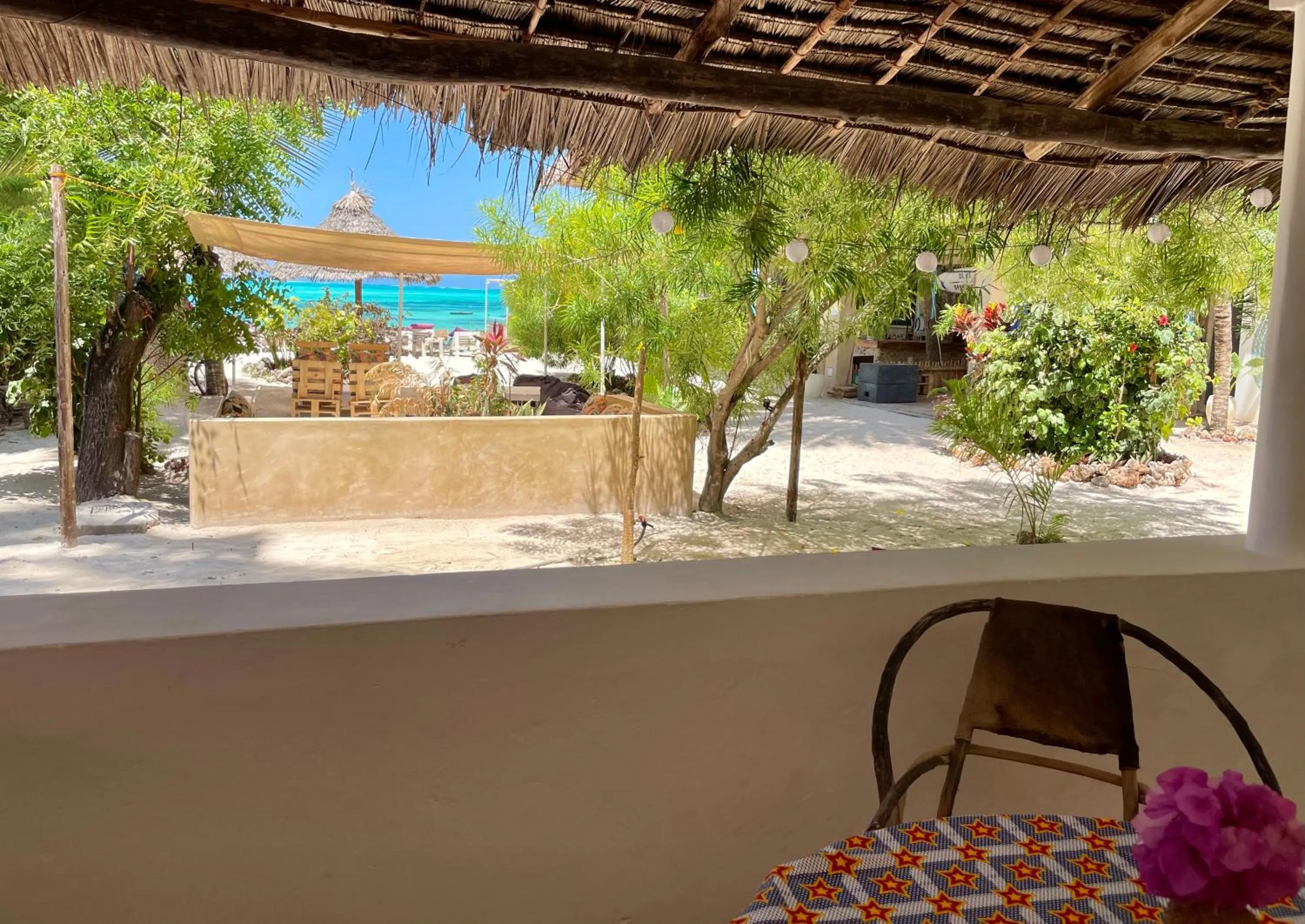 Garden view in Blue Reef Sport & Fishing Lodge and Bungalows