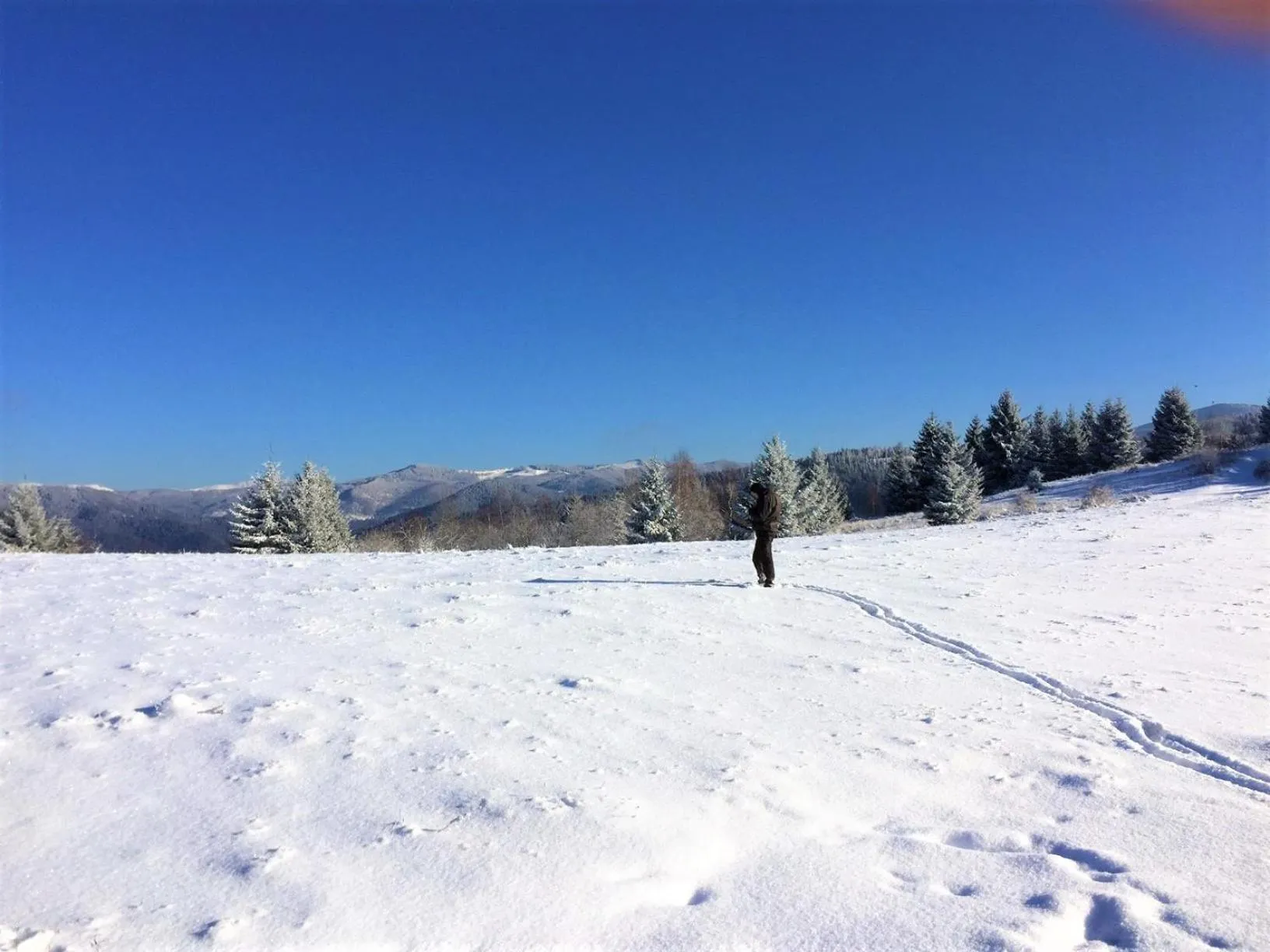 Day in Zabola Estate - Transylvania