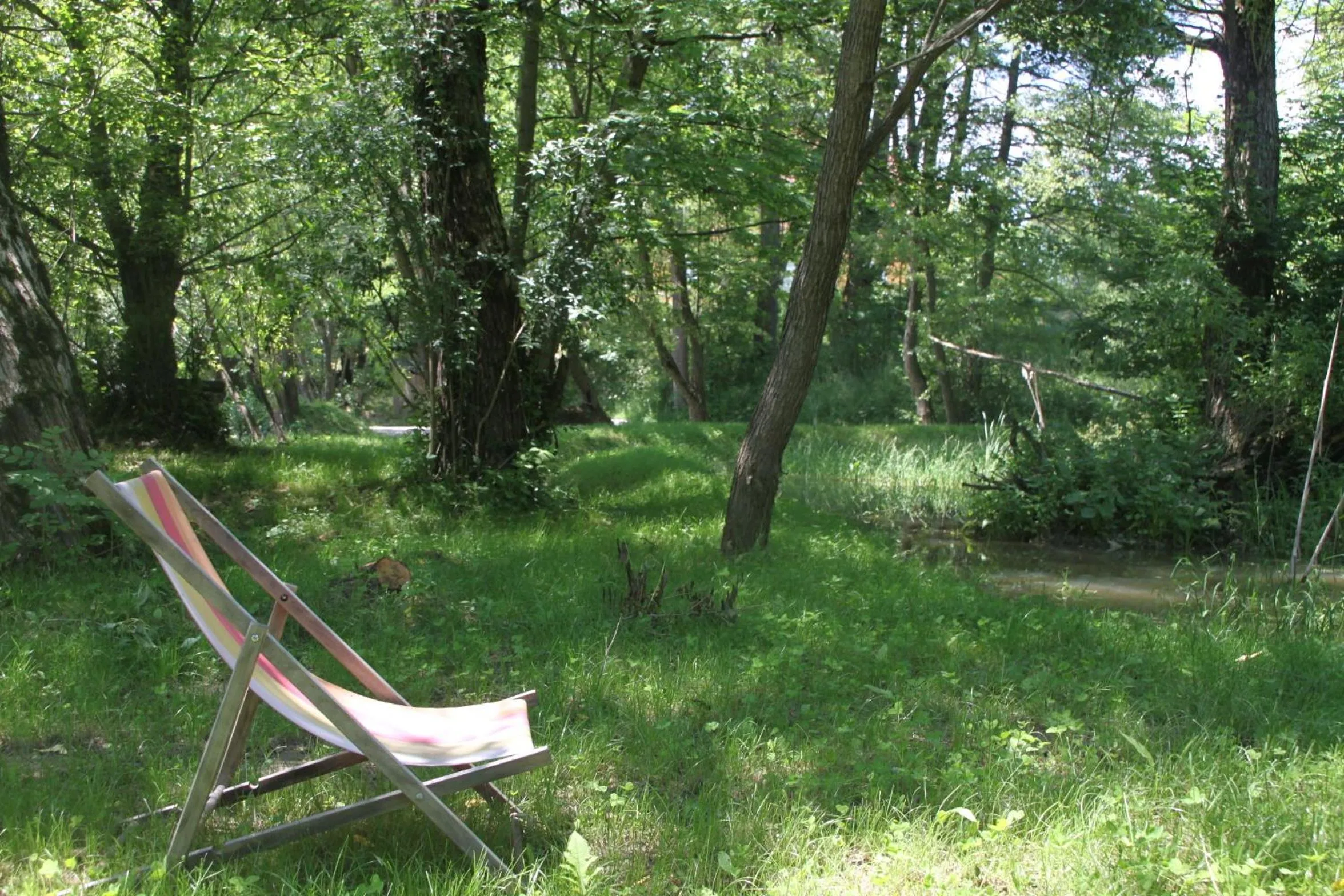 Garden in Zabola Estate - Transylvania