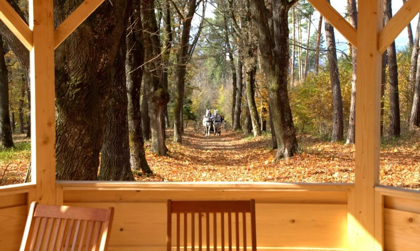 Garden in Zabola Estate - Transylvania
